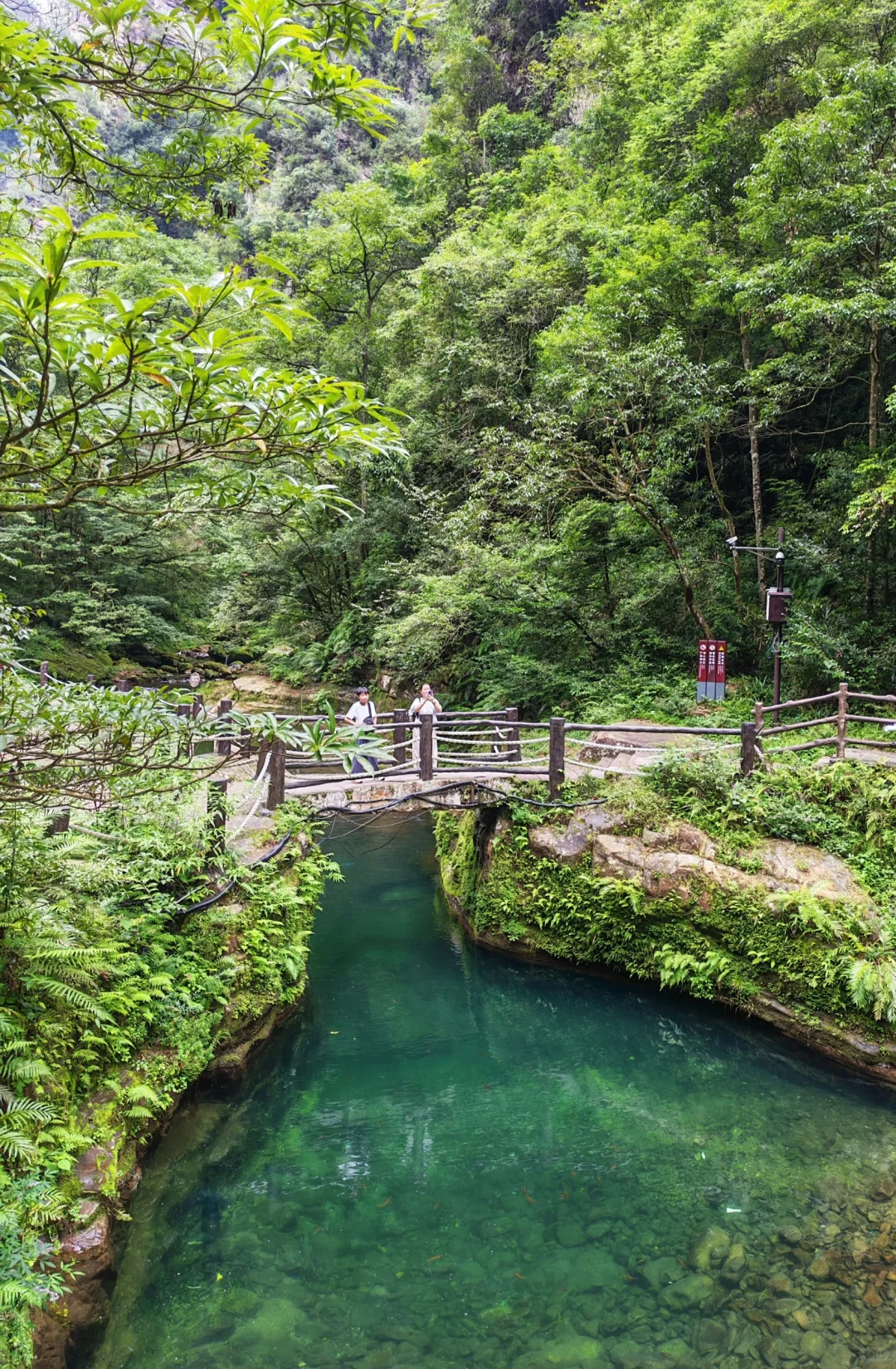 🌟一人玩转张家界，自由行攻略&避坑指南