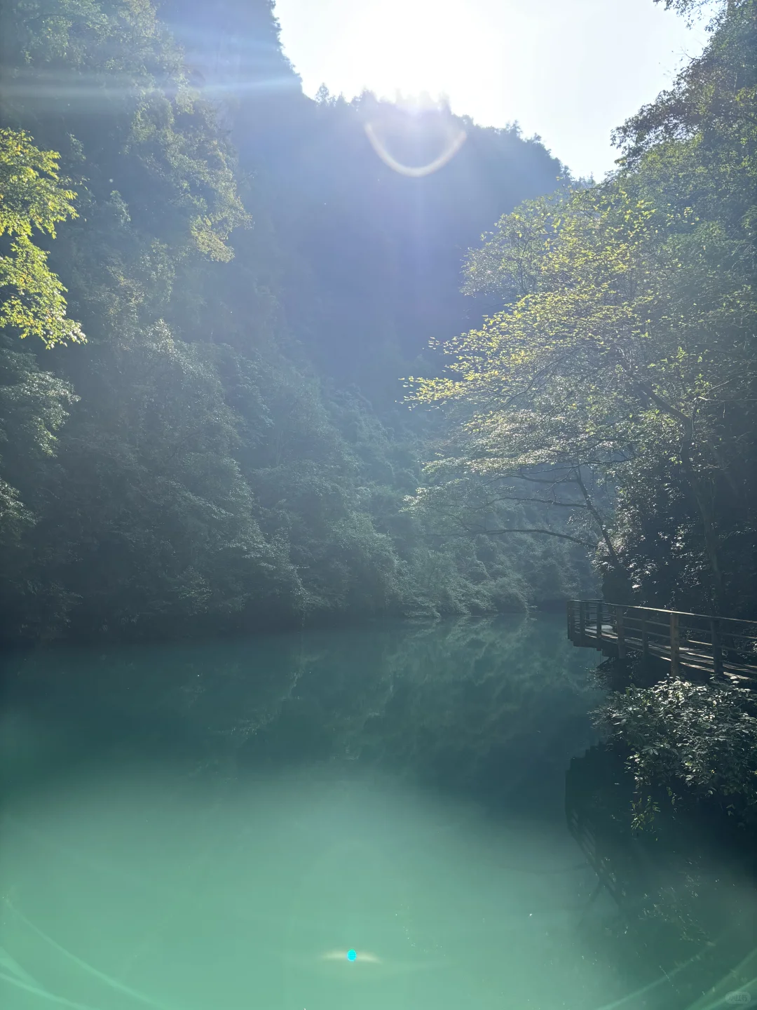 11.15实况图｜原来张家界大峡谷这么美啊