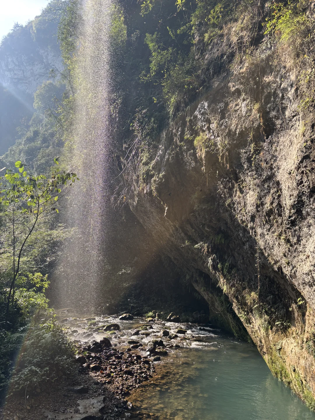 11.15实况图｜原来张家界大峡谷这么美啊