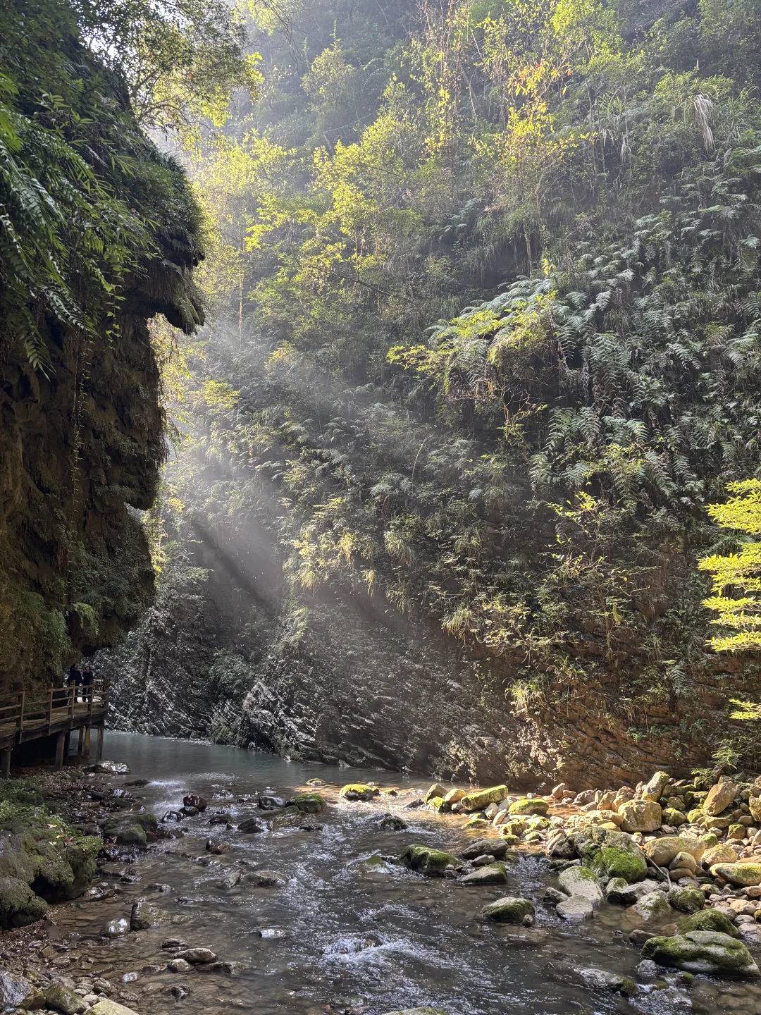 11.15实况图｜原来张家界大峡谷这么美啊