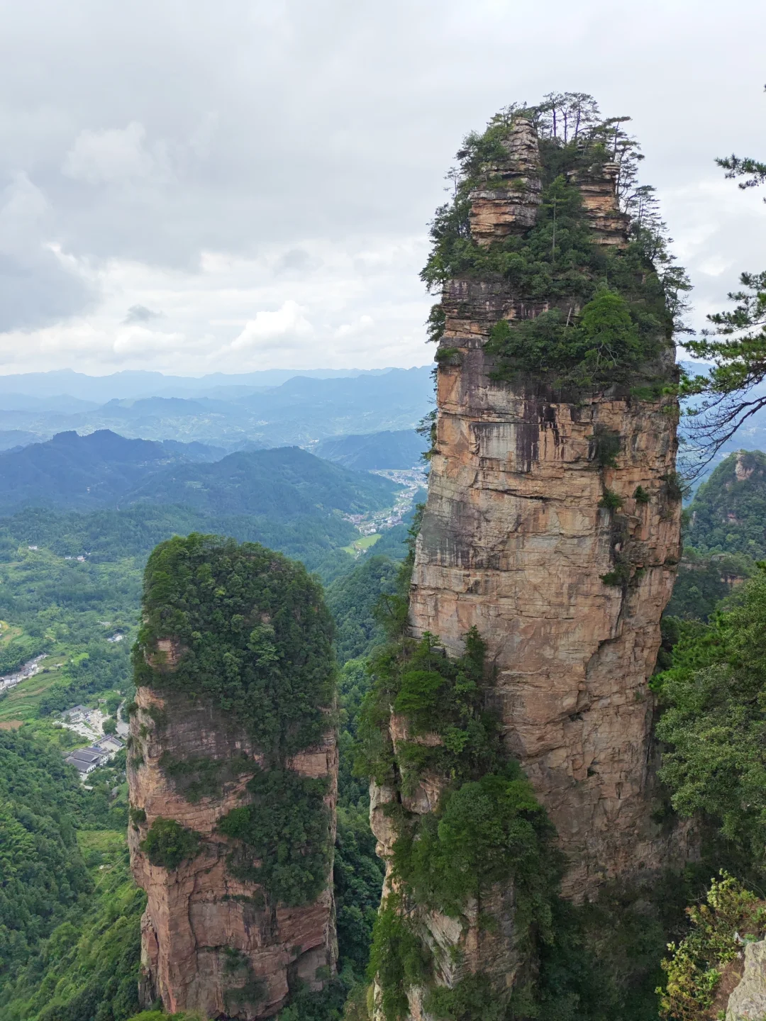 🌟一人玩转张家界，自由行攻略&避坑指南