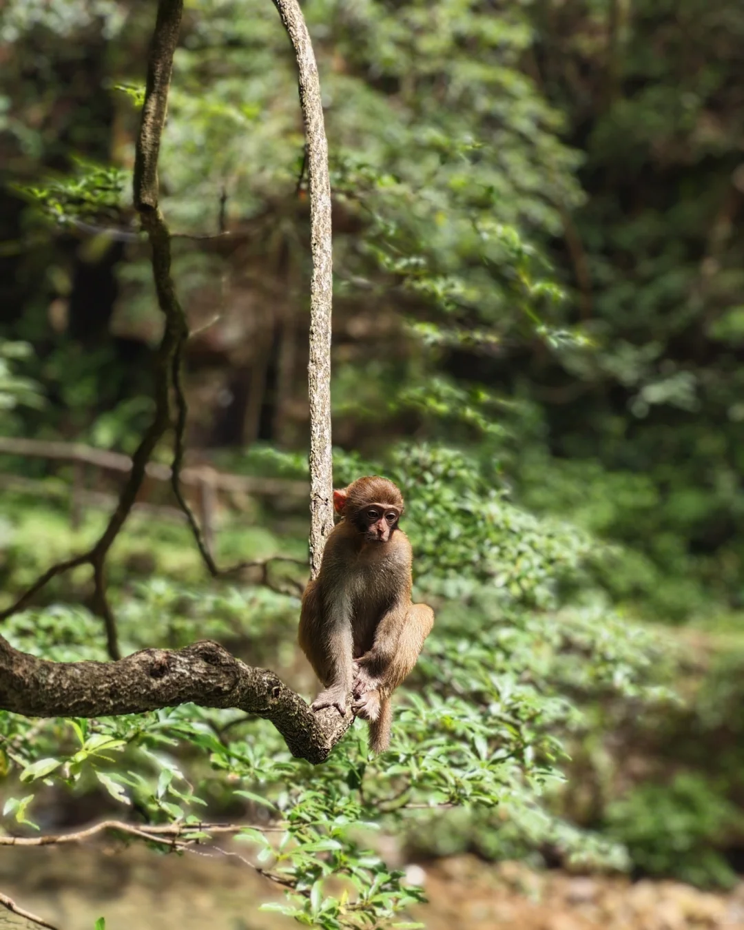 🌟一人玩转张家界，自由行攻略&避坑指南
