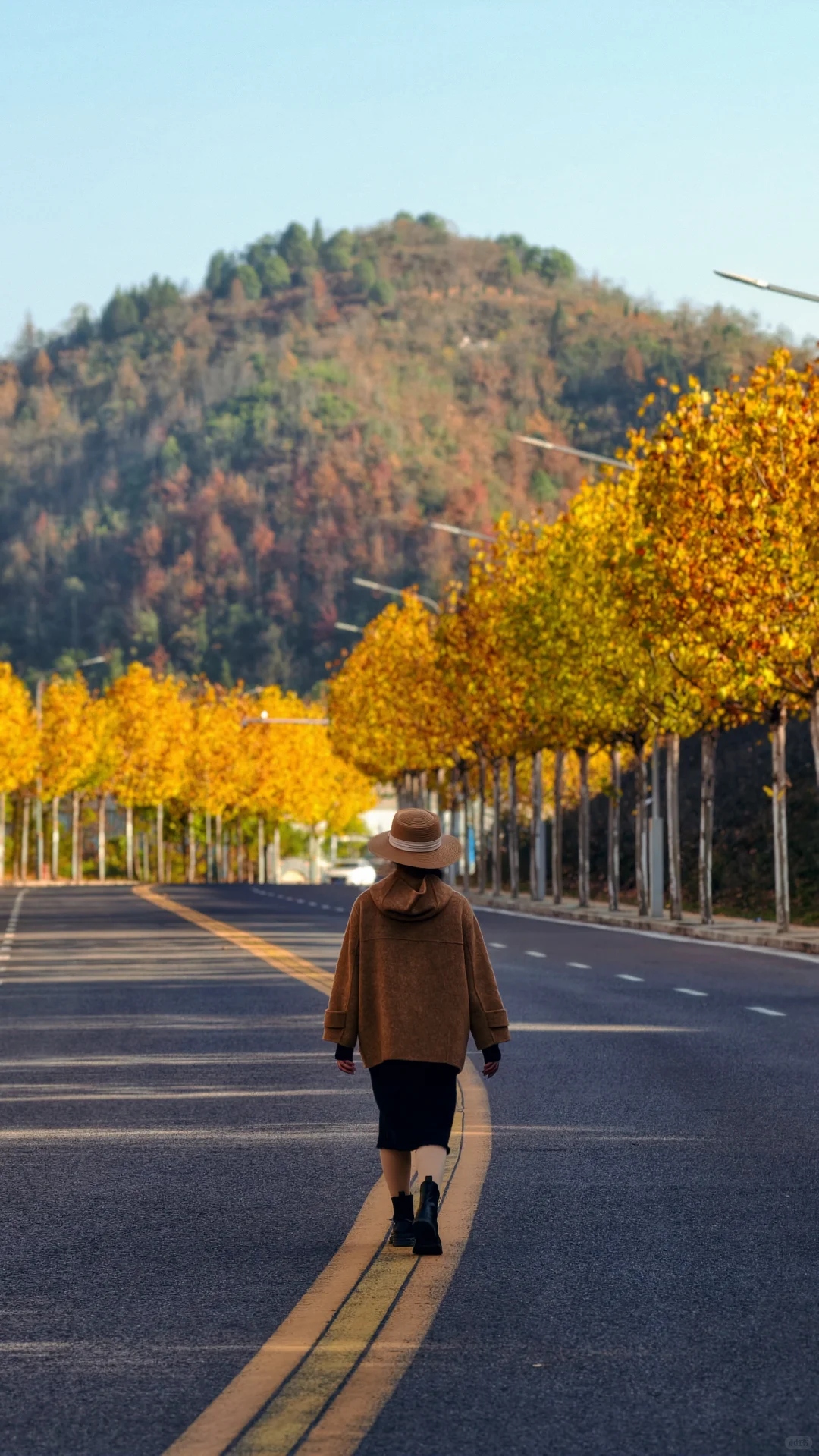 长沙南边丨1000米绝美梧桐大道人少随便拍‼️