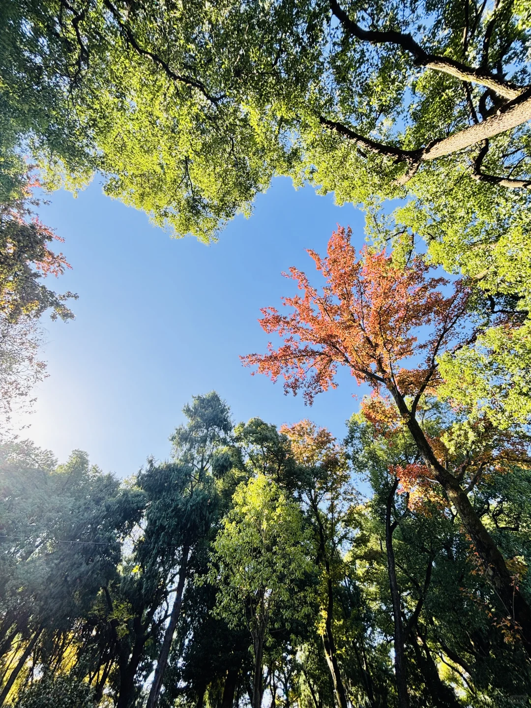 长沙秋日封神公园，没有之一