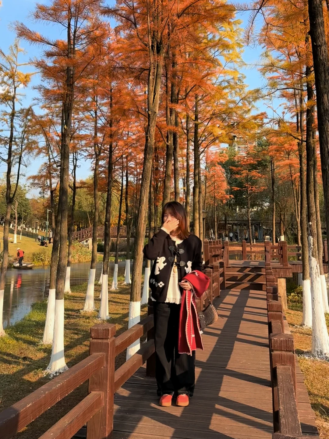 长沙松雅湖的绝美落羽杉🍂人少好拍！！