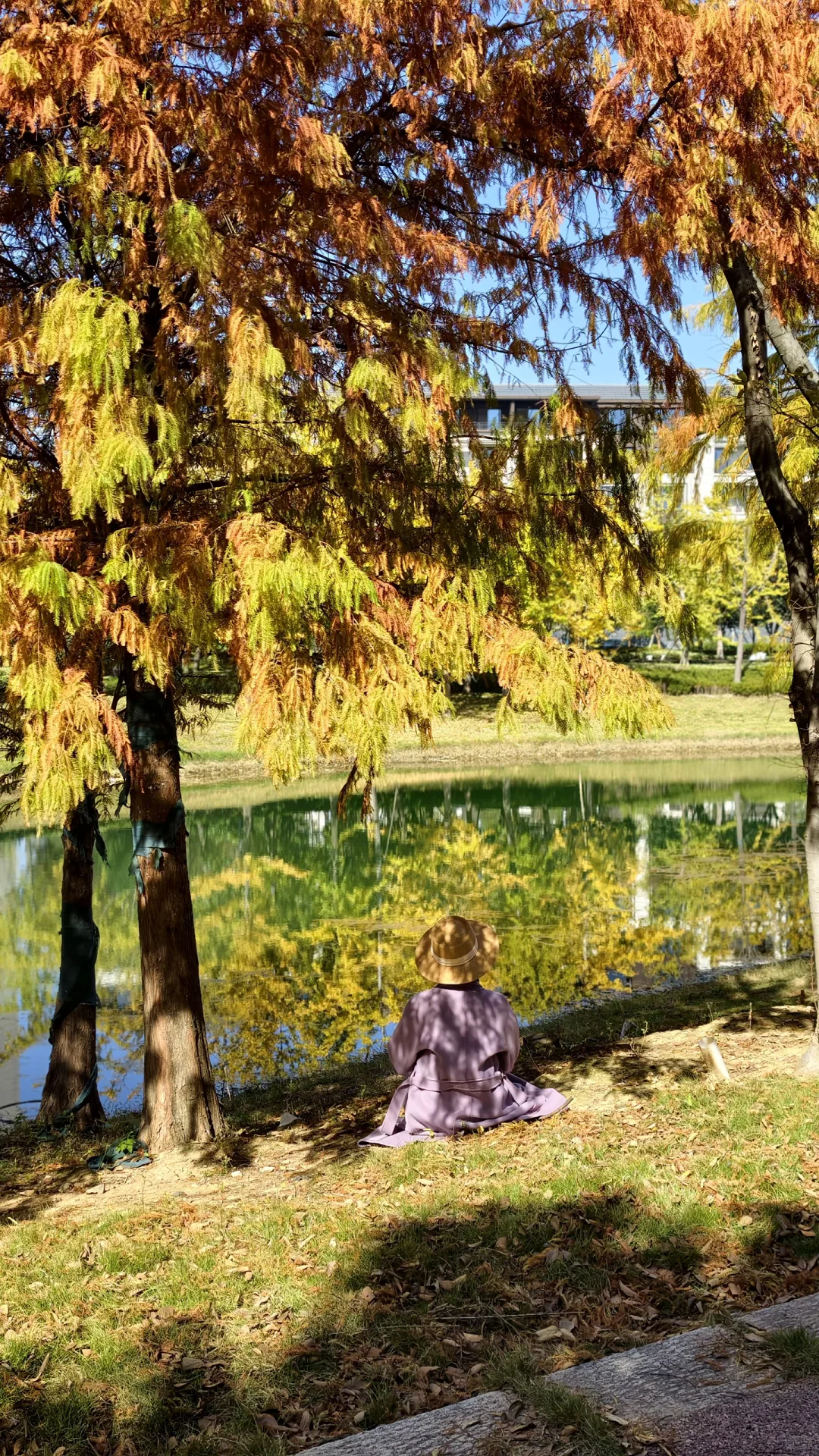 周末别再人挤人！长沙南边无人公园美到哭！