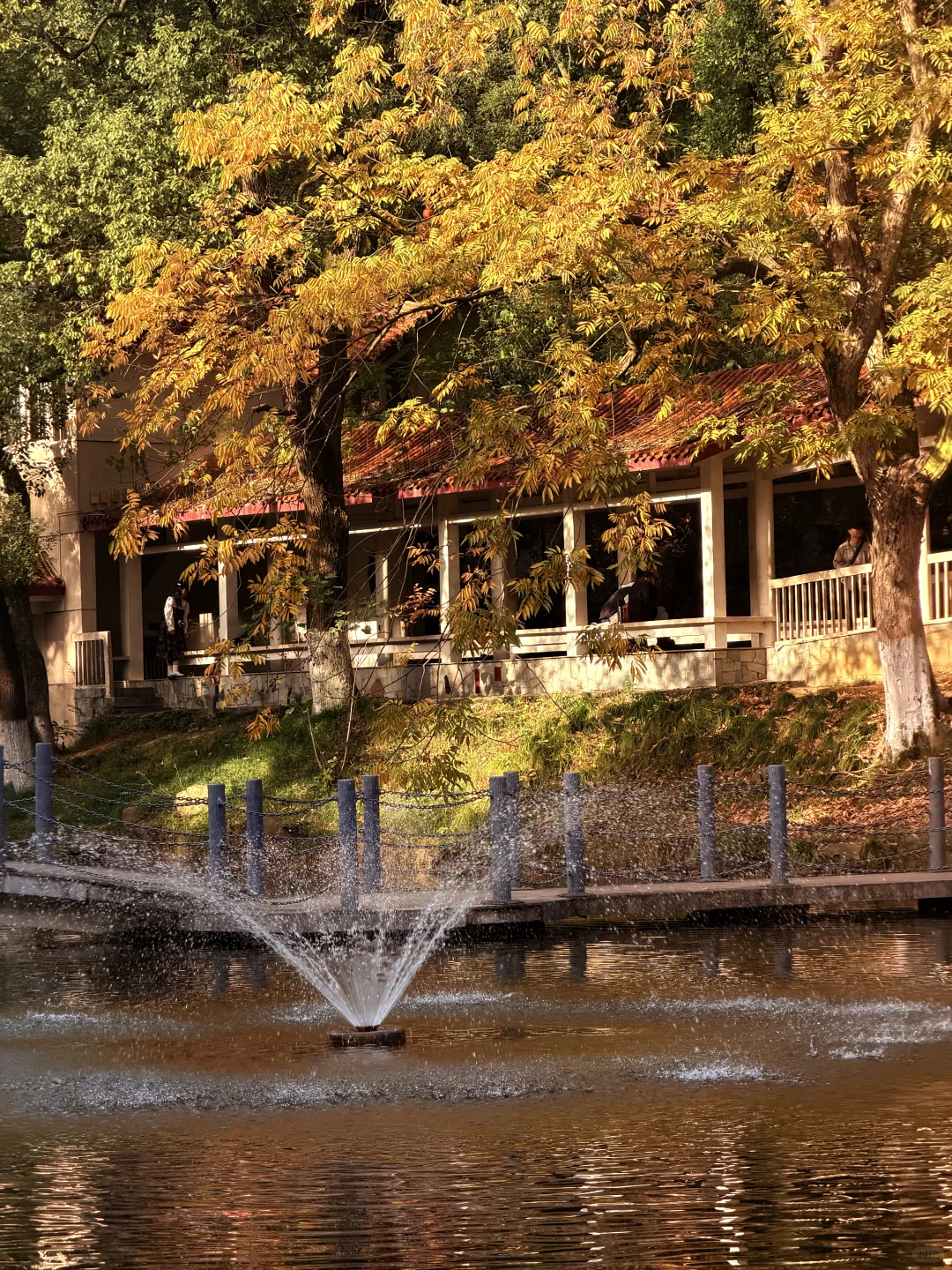 11.27实况！！我愿称之为长沙最美公园！！！！