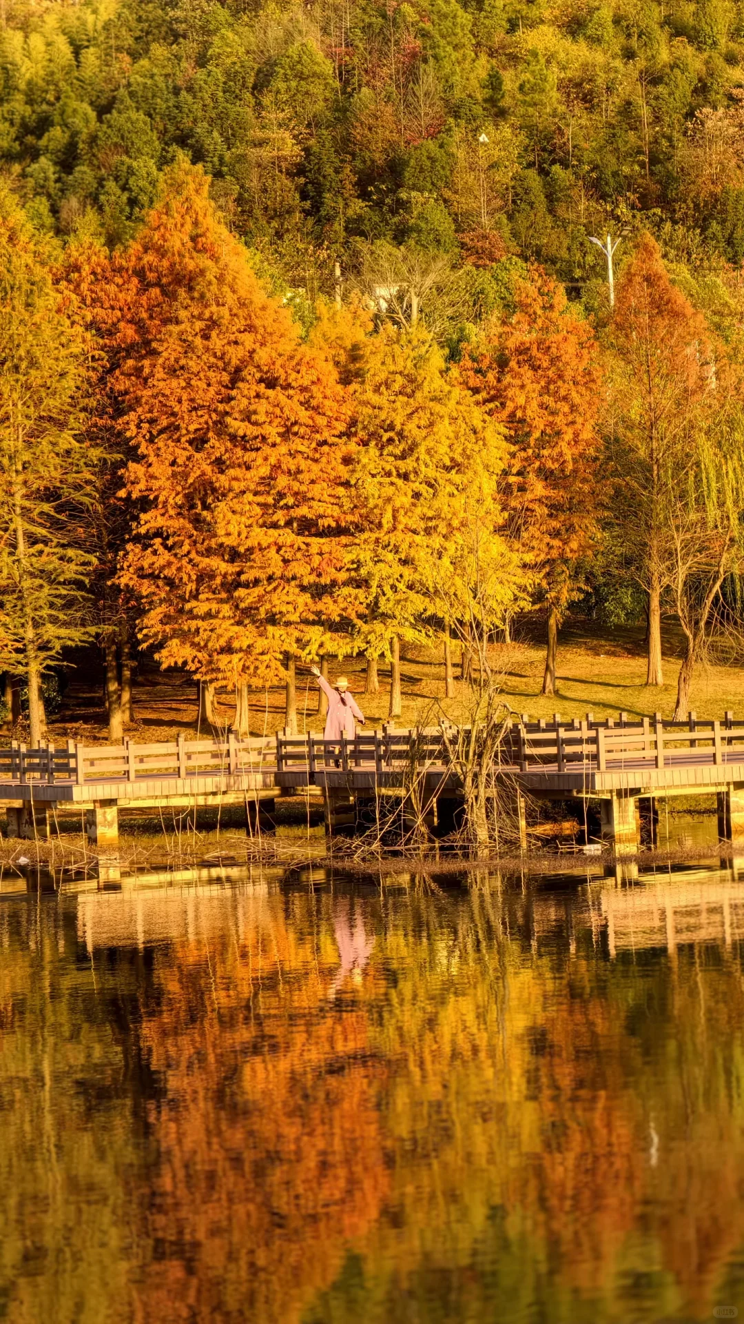 周末别再人挤人！长沙南边无人公园美到哭！