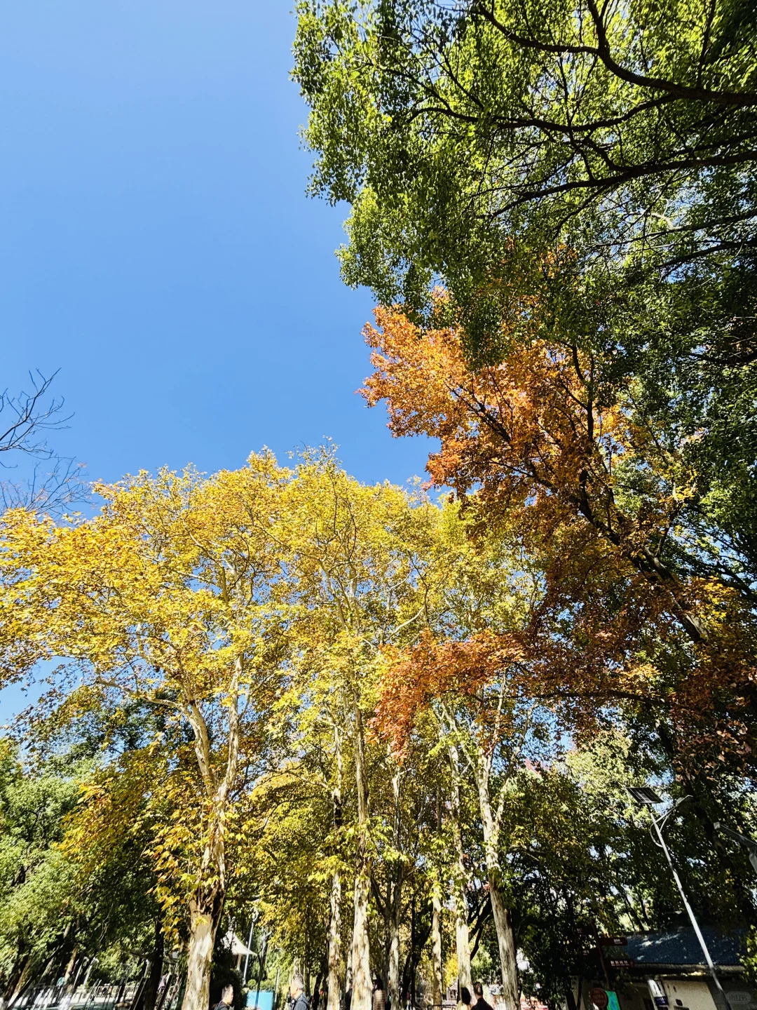 长沙秋日封神公园，没有之一