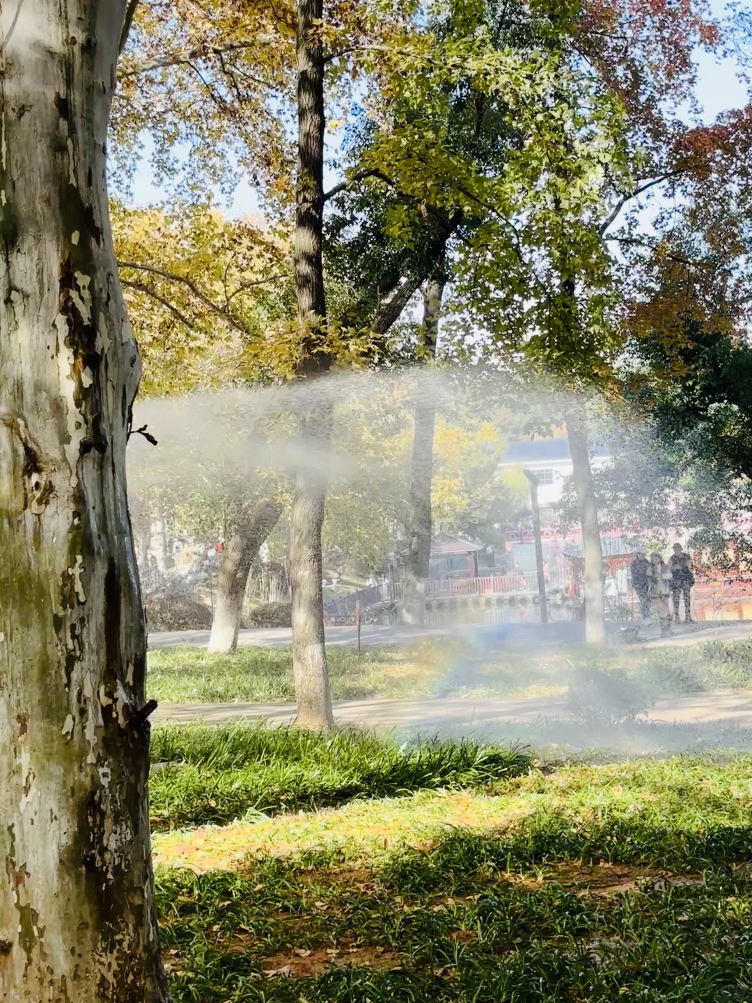 长沙秋日封神公园，没有之一