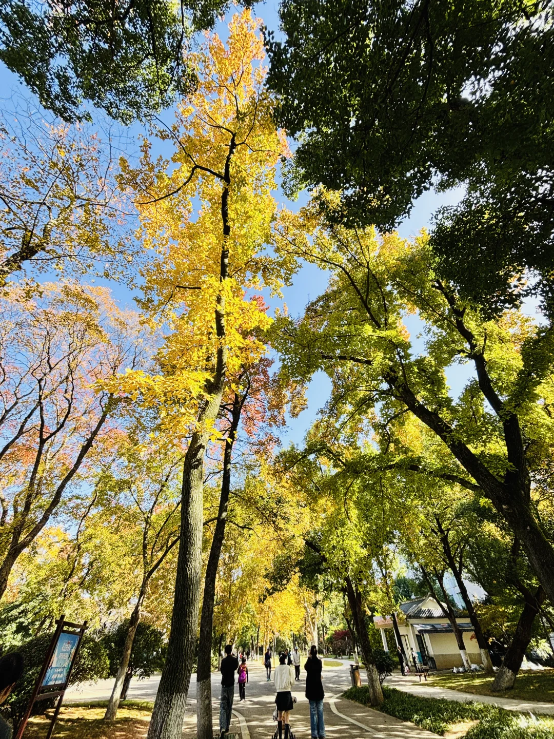 长沙秋日封神公园，没有之一