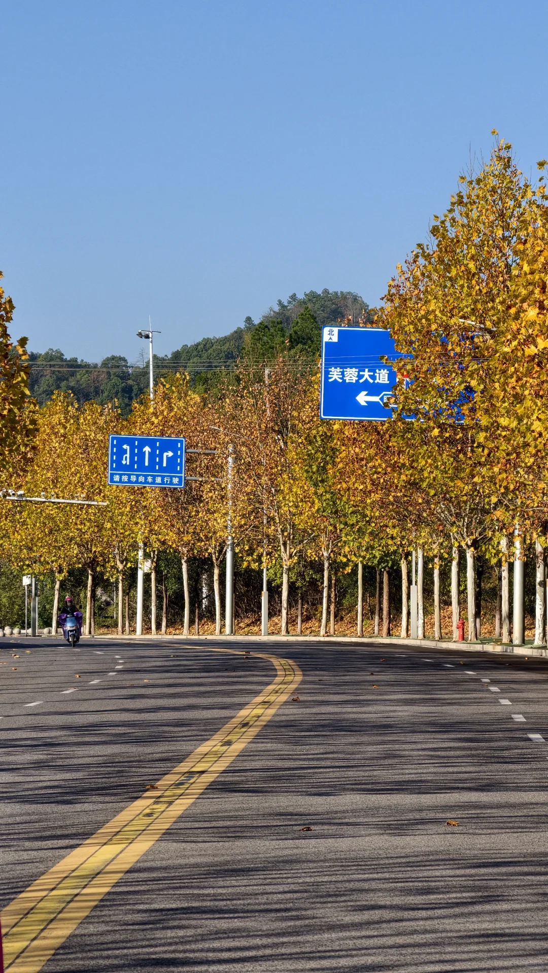 长沙南边丨1000米绝美梧桐大道人少随便拍‼️