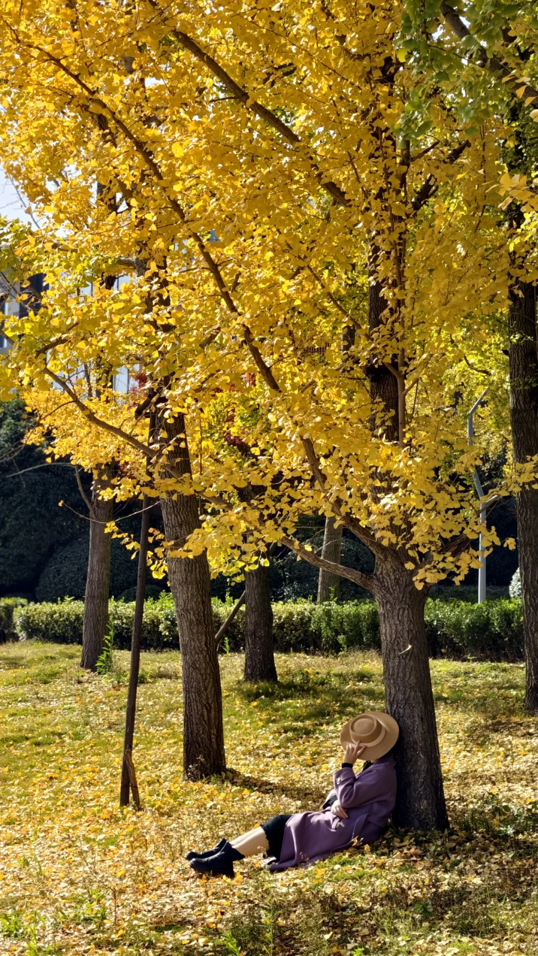 周末别再人挤人！长沙南边无人公园美到哭！