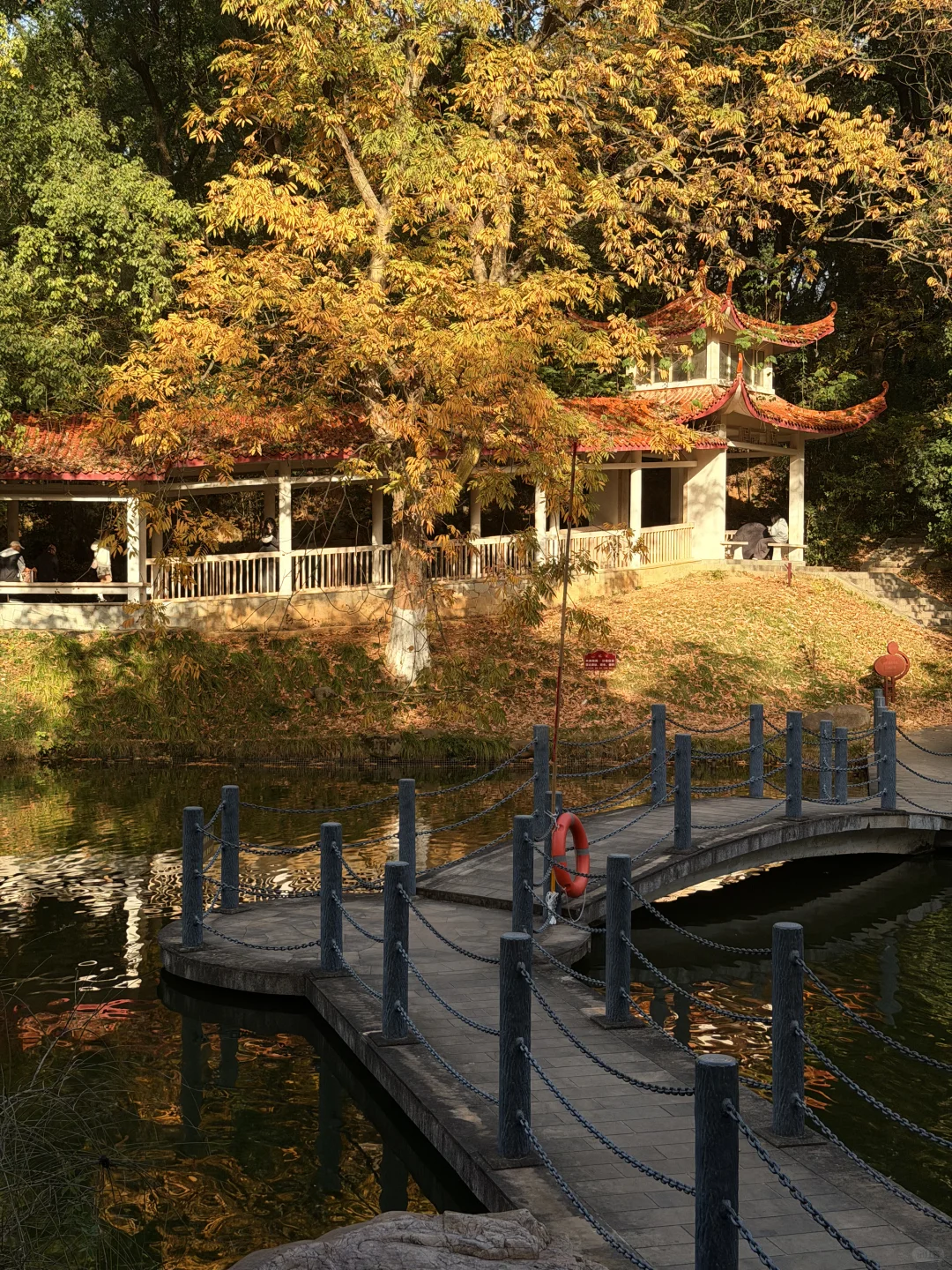 11.27实况！！我愿称之为长沙最美公园！！！！