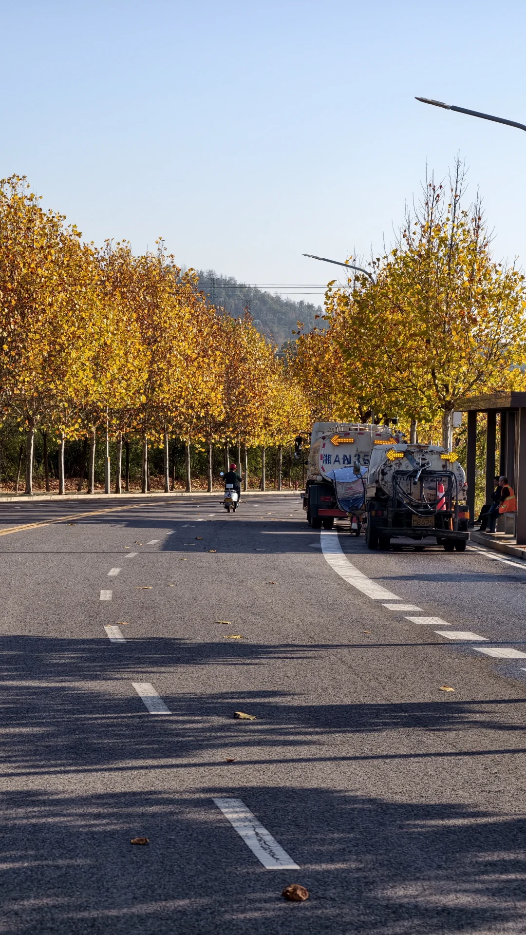 长沙南边丨1000米绝美梧桐大道人少随便拍‼️