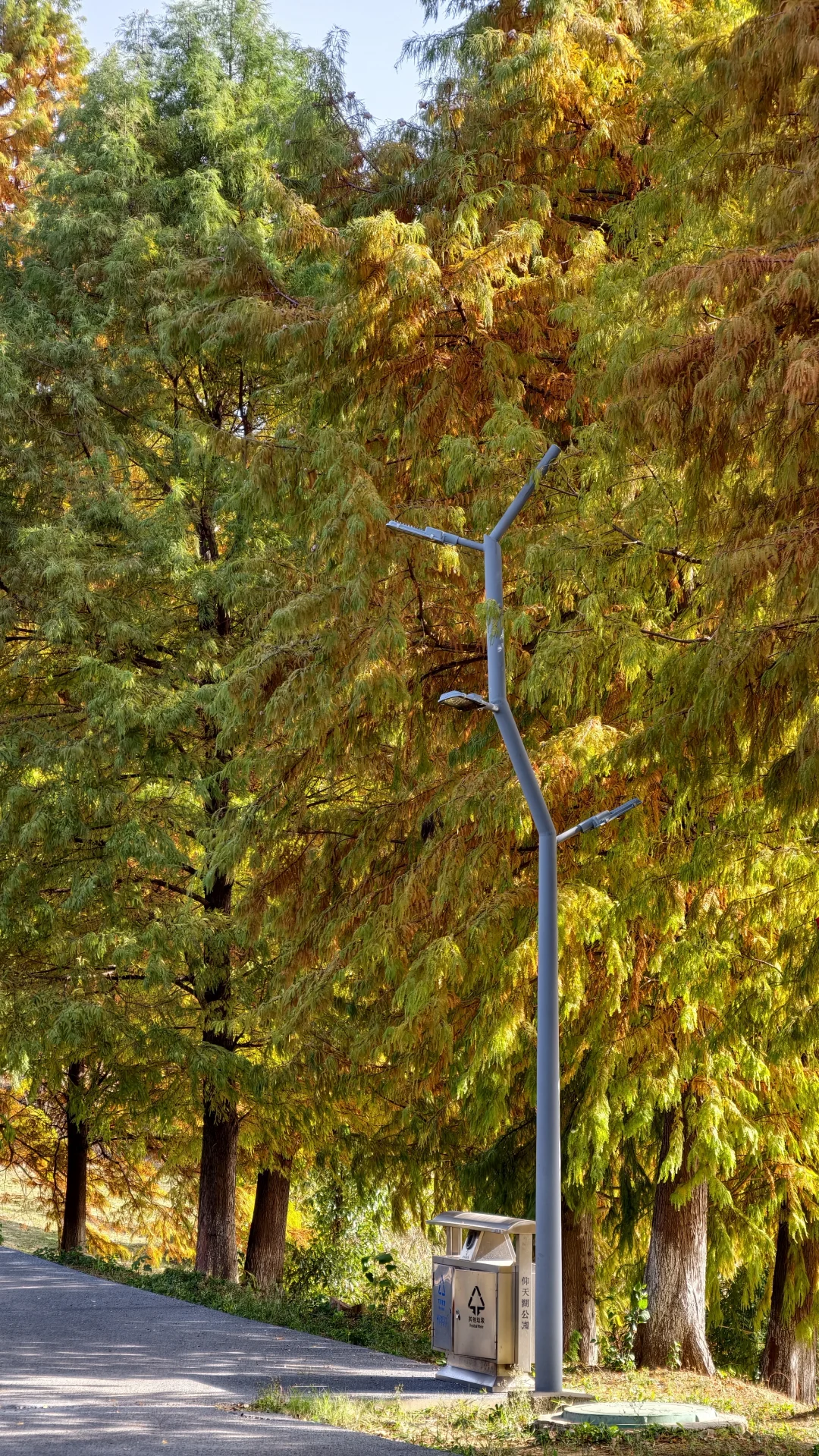 周末别再人挤人！长沙南边无人公园美到哭！