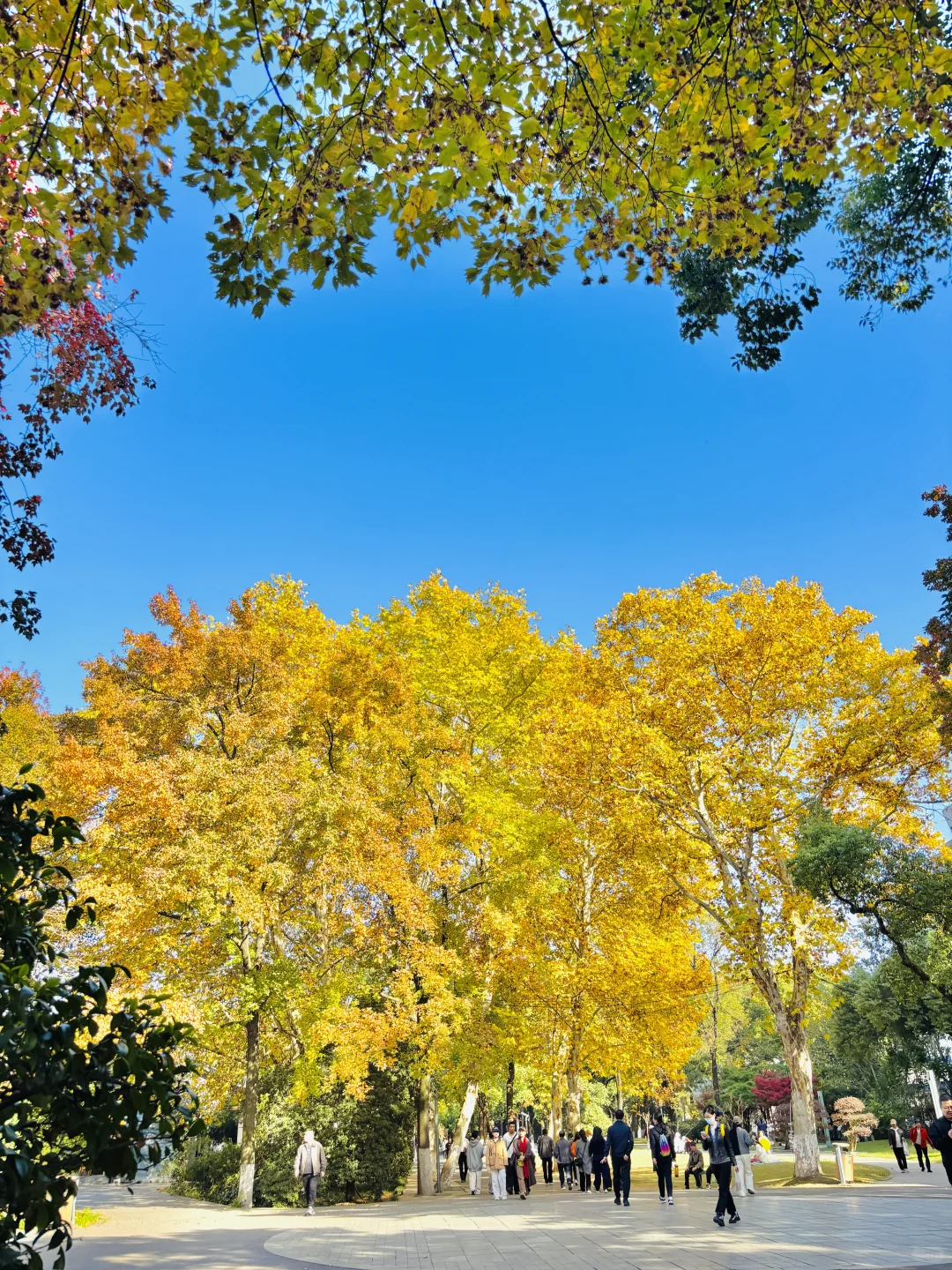 长沙秋日封神公园，没有之一