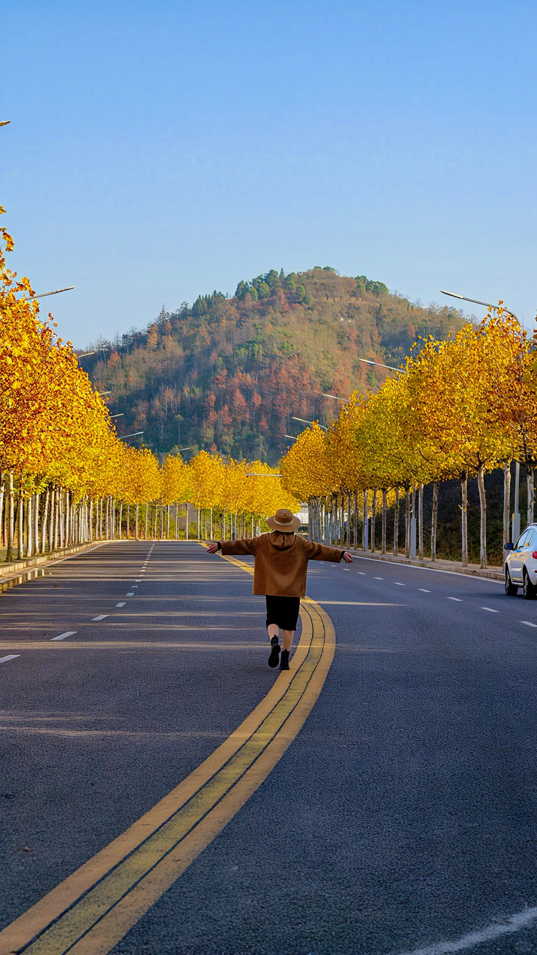 长沙南边丨1000米绝美梧桐大道人少随便拍‼️