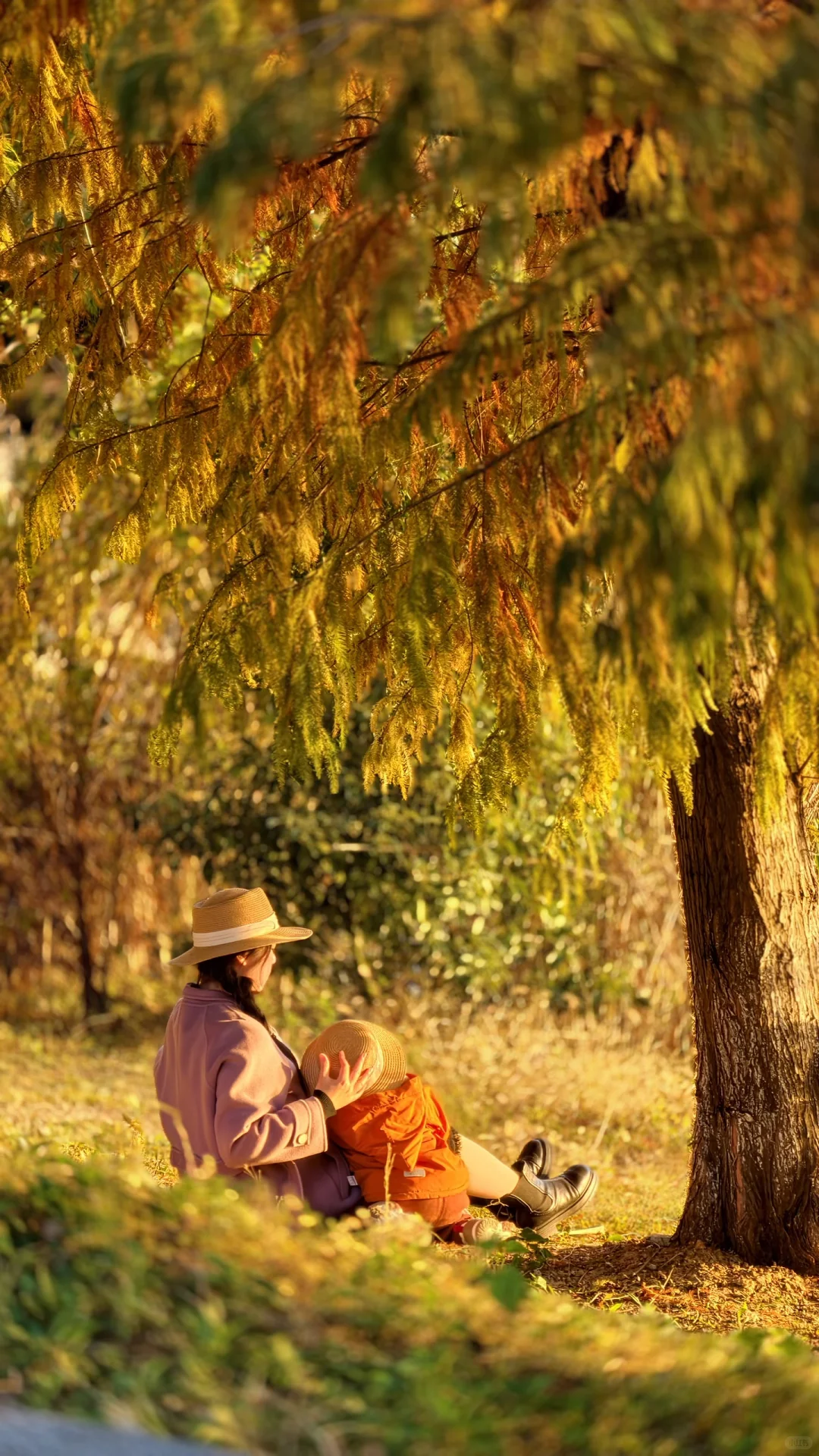 周末别再人挤人！长沙南边无人公园美到哭！