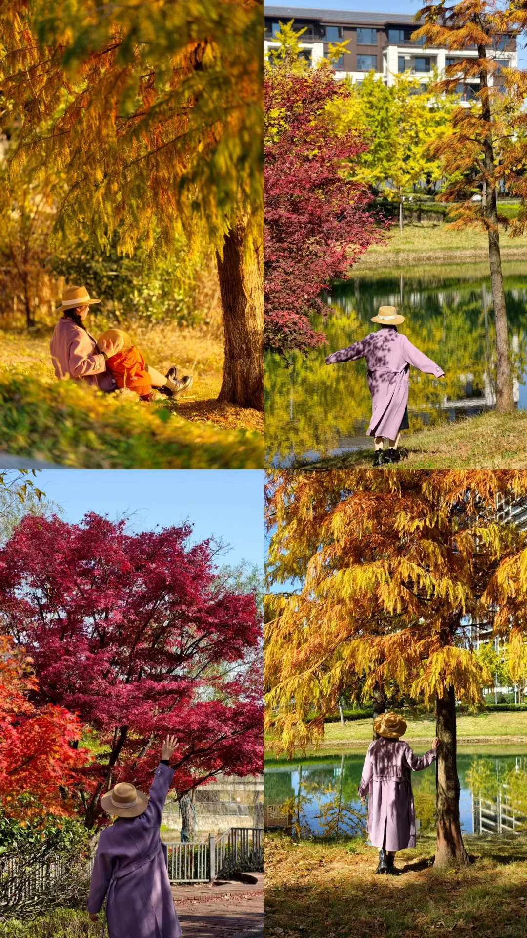 长沙南边丨1000米绝美梧桐大道人少随便拍‼️