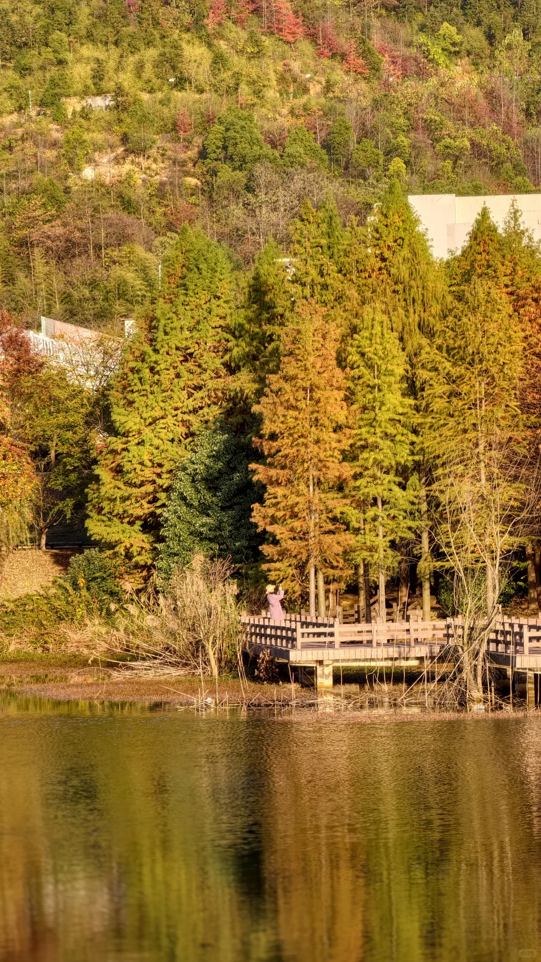 周末别再人挤人！长沙南边无人公园美到哭！