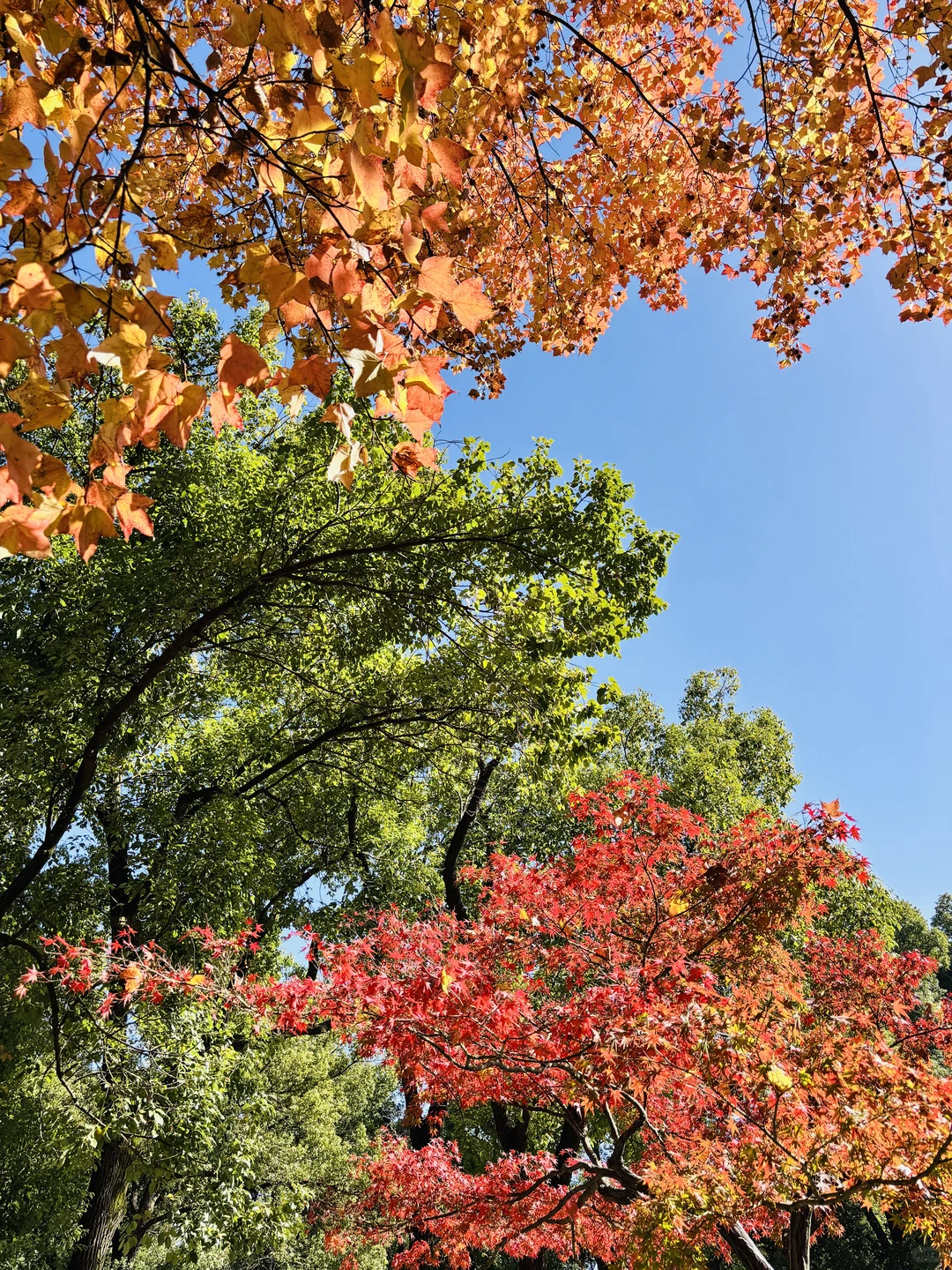 长沙秋日封神公园，没有之一