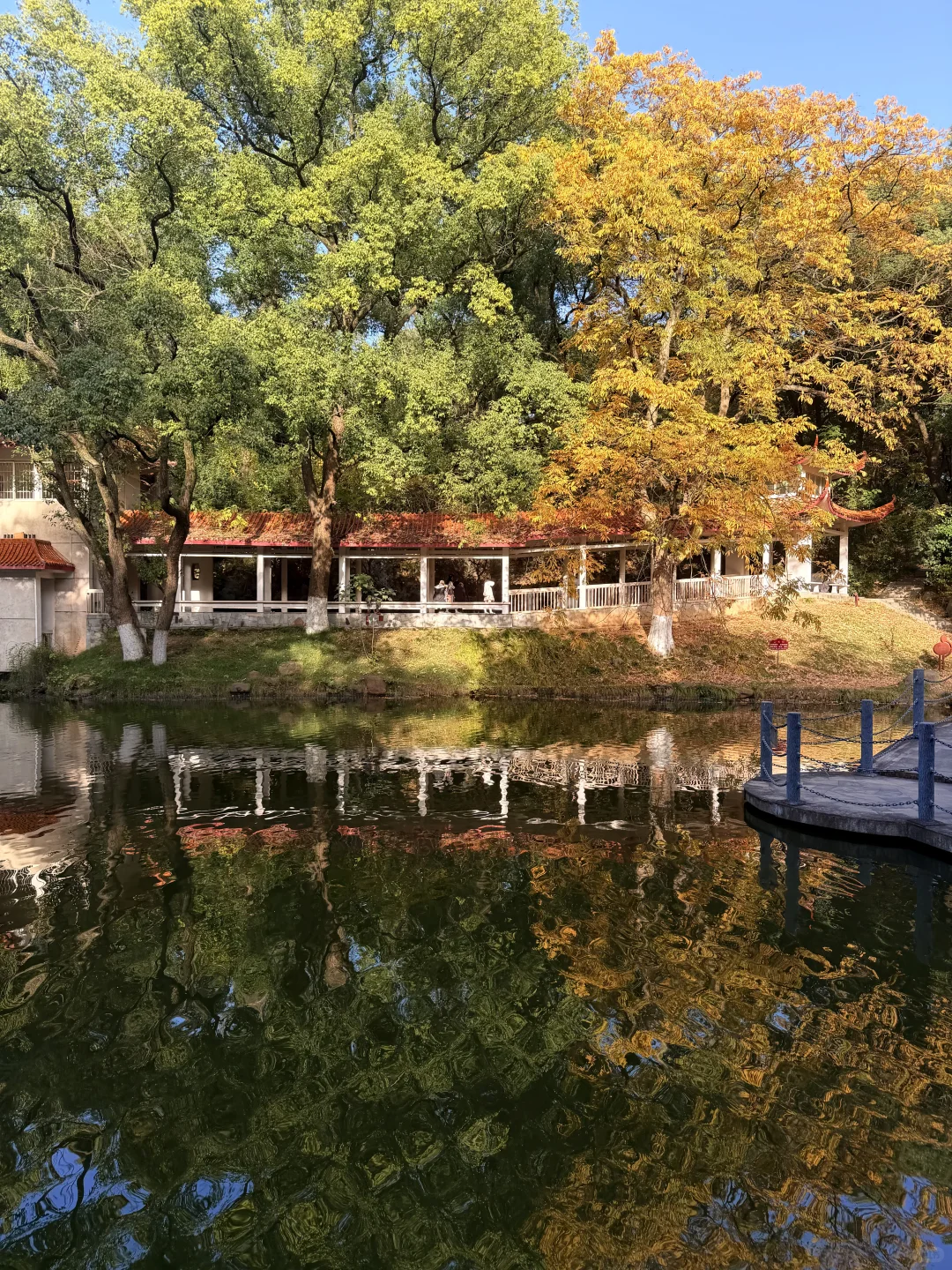 11.27实况！！我愿称之为长沙最美公园！！！！