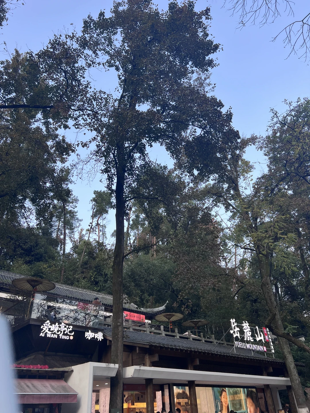 11.22 日的长沙，人从众