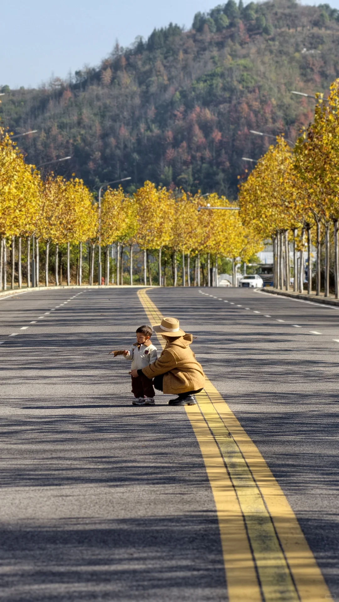 长沙南边丨1000米绝美梧桐大道人少随便拍‼️