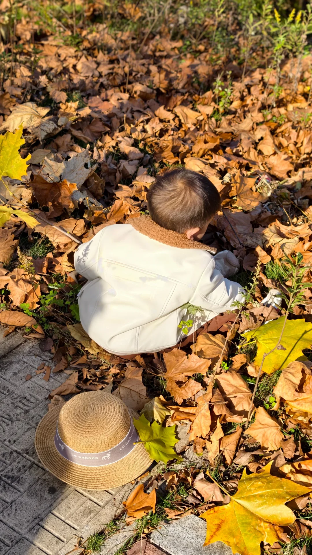 长沙南边丨1000米绝美梧桐大道人少随便拍‼️