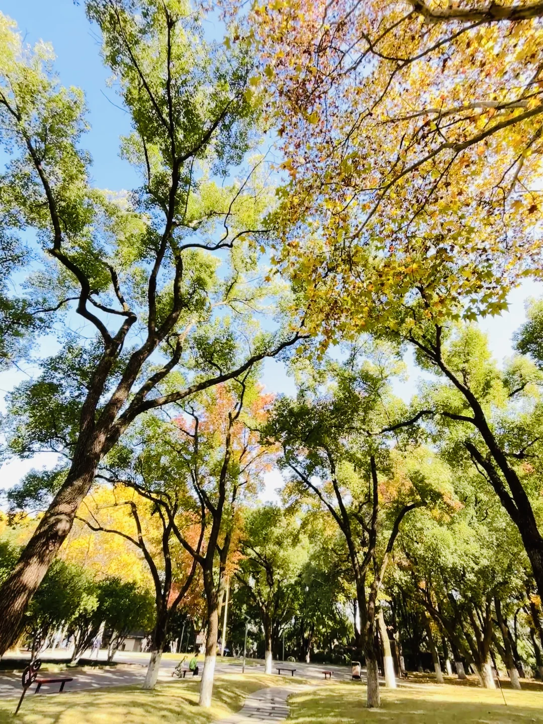 长沙秋日封神公园，没有之一