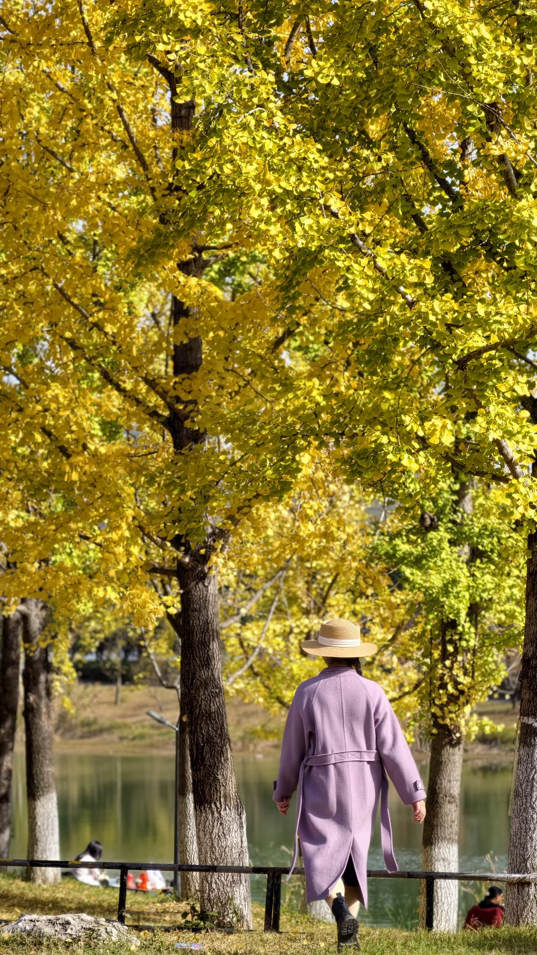 周末别再人挤人！长沙南边无人公园美到哭！
