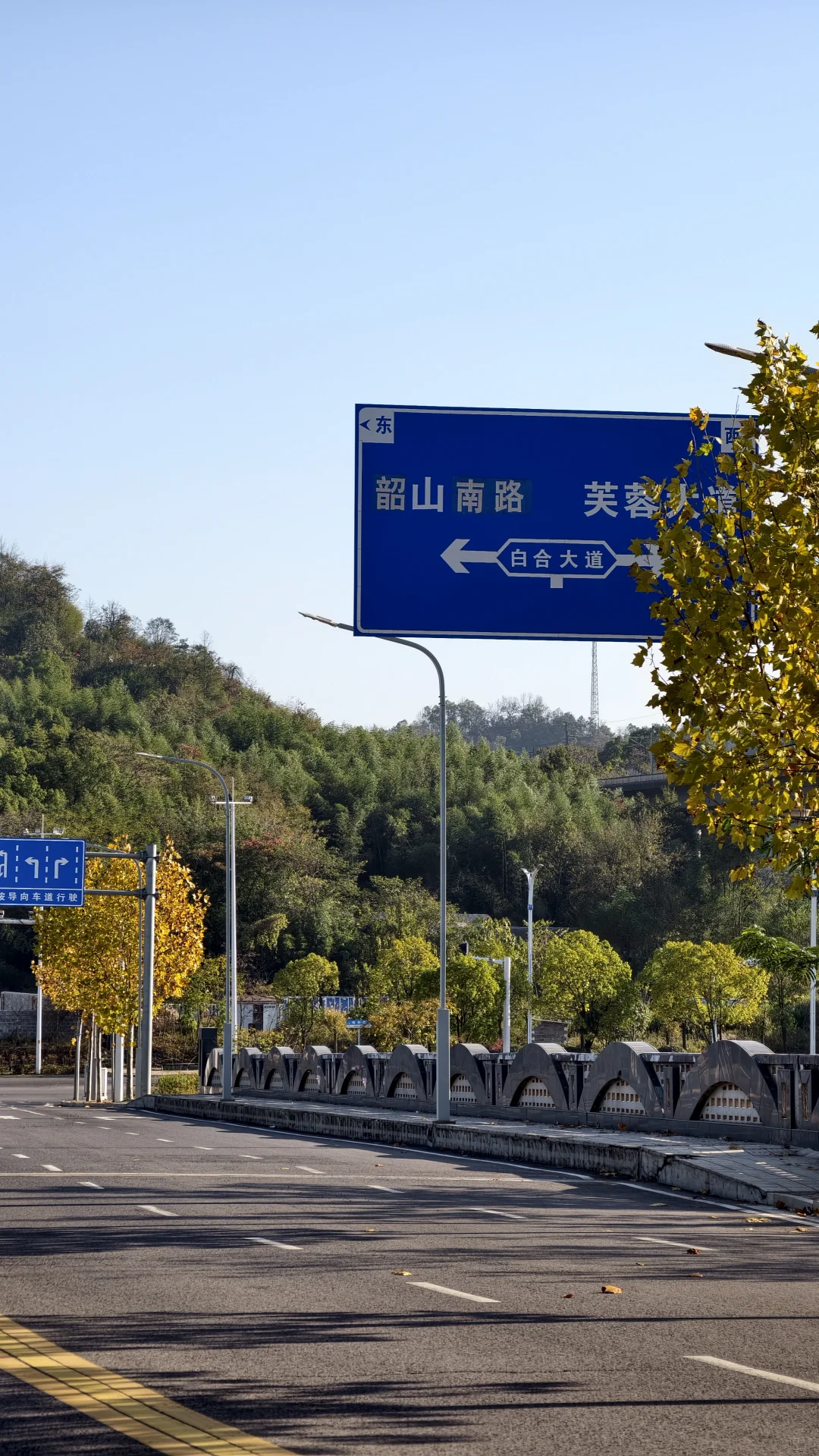 长沙南边丨1000米绝美梧桐大道人少随便拍‼️