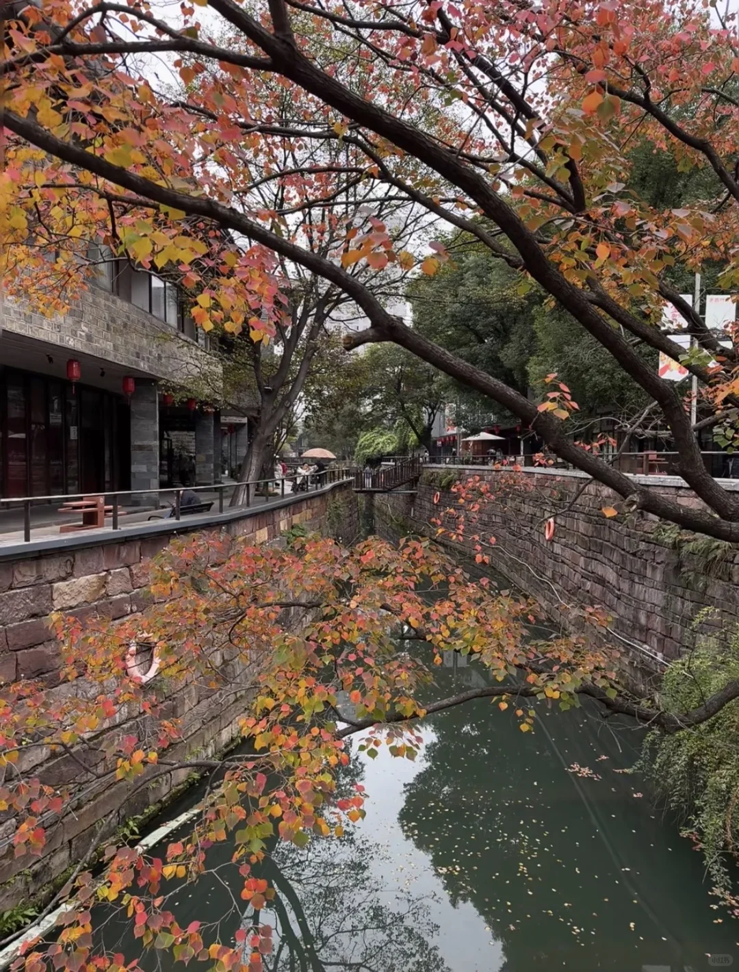第一次来常德一定要去这里！
