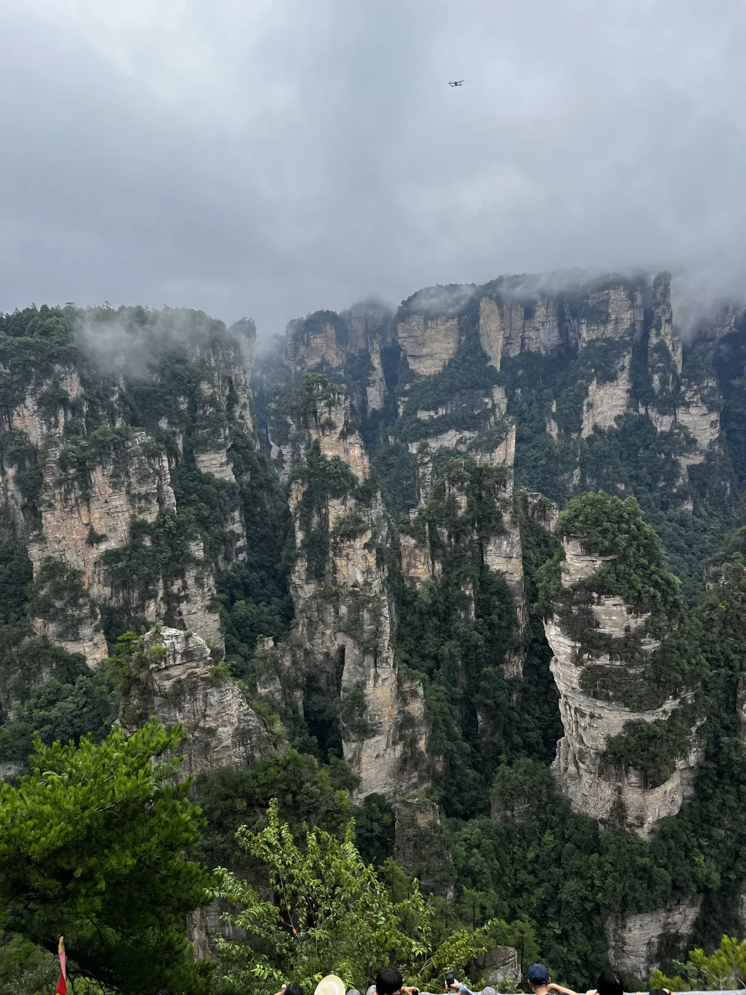 张家界现实版阿凡达