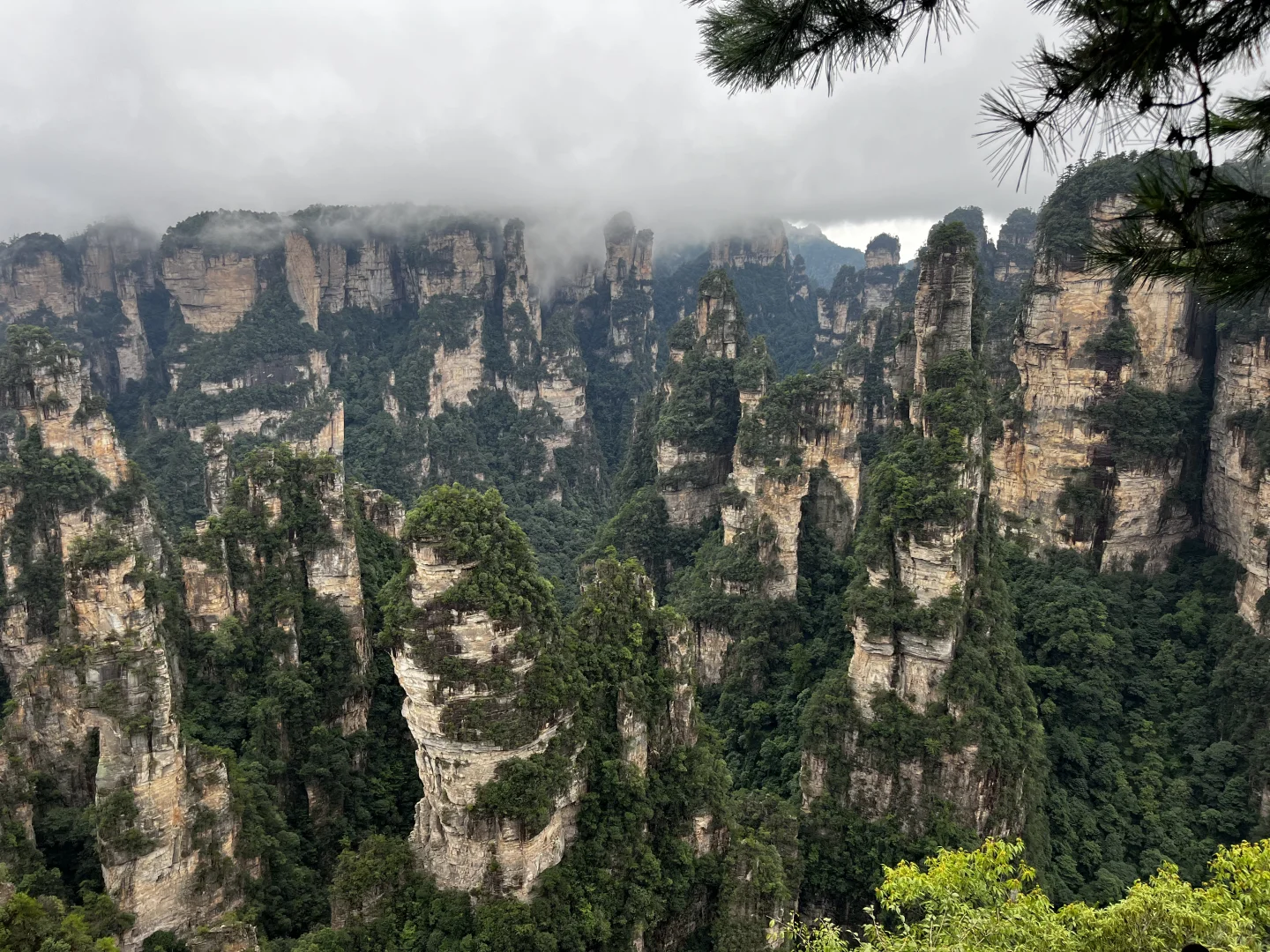 张家界现实版阿凡达