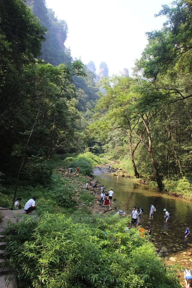 张家界此生必去是自然与人文交融的绝美仙境