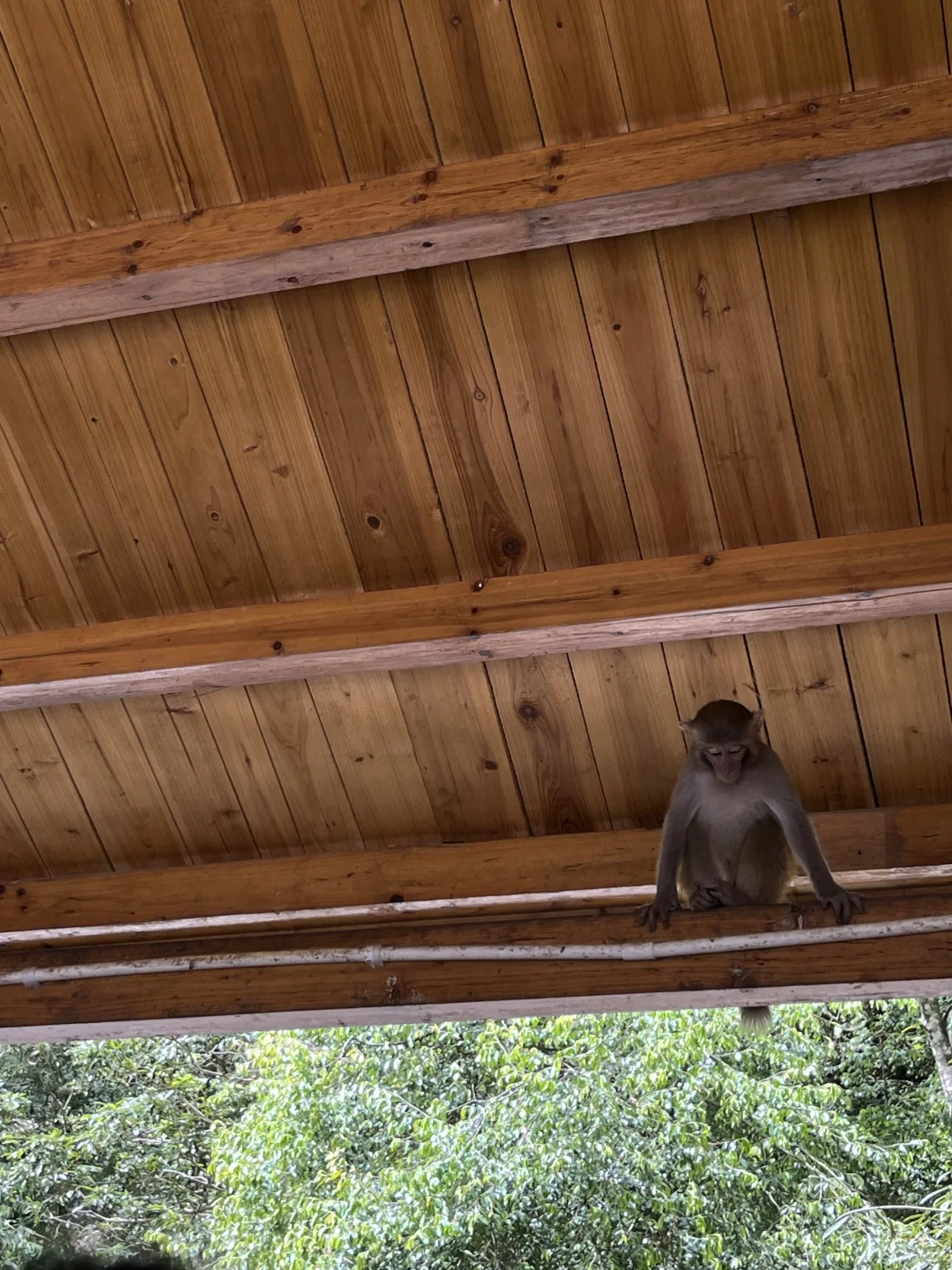 张家界出游攻略