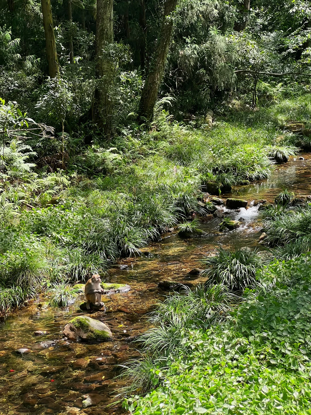 张家界 不需要文案的美