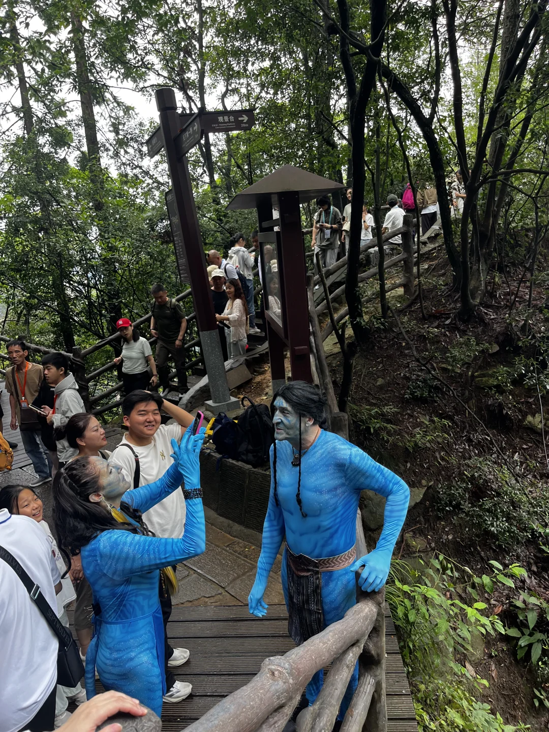 张家界现实版阿凡达