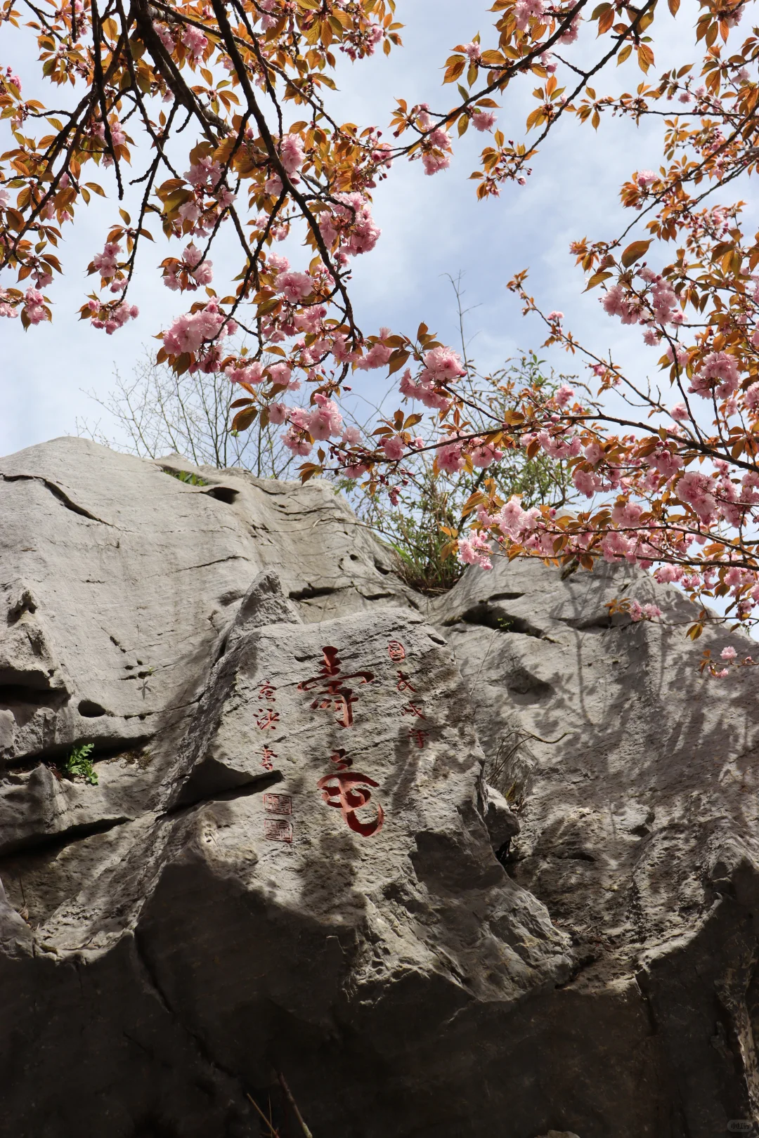 张家界出游攻略