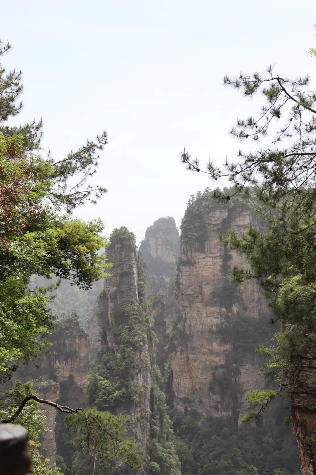 张家界出游攻略