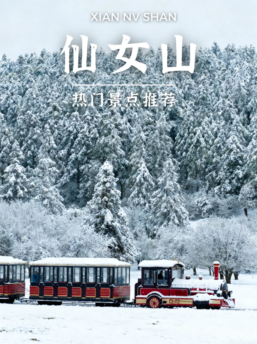 大马姐妹冲重庆张家界！玩透双城绝美风景