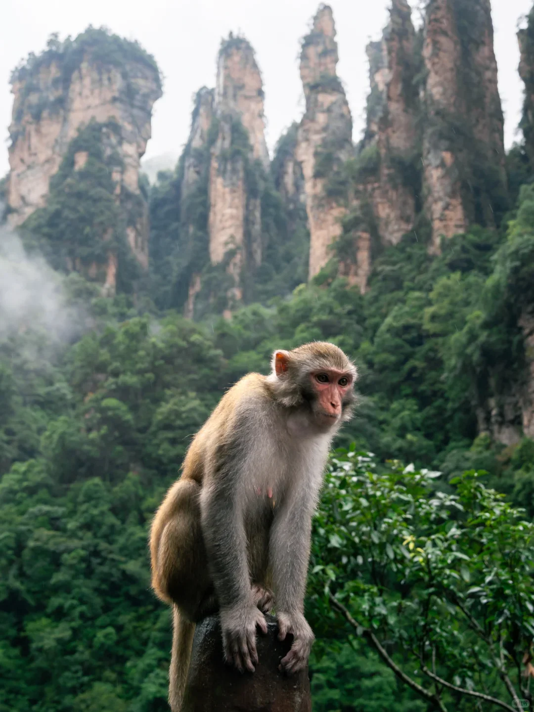 张家界此生必去是自然与人文交融的绝美仙境