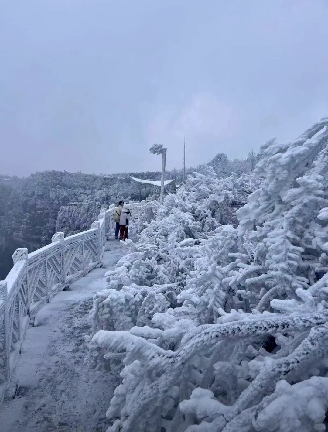 张家界天门山的雪❄️真的没法喷