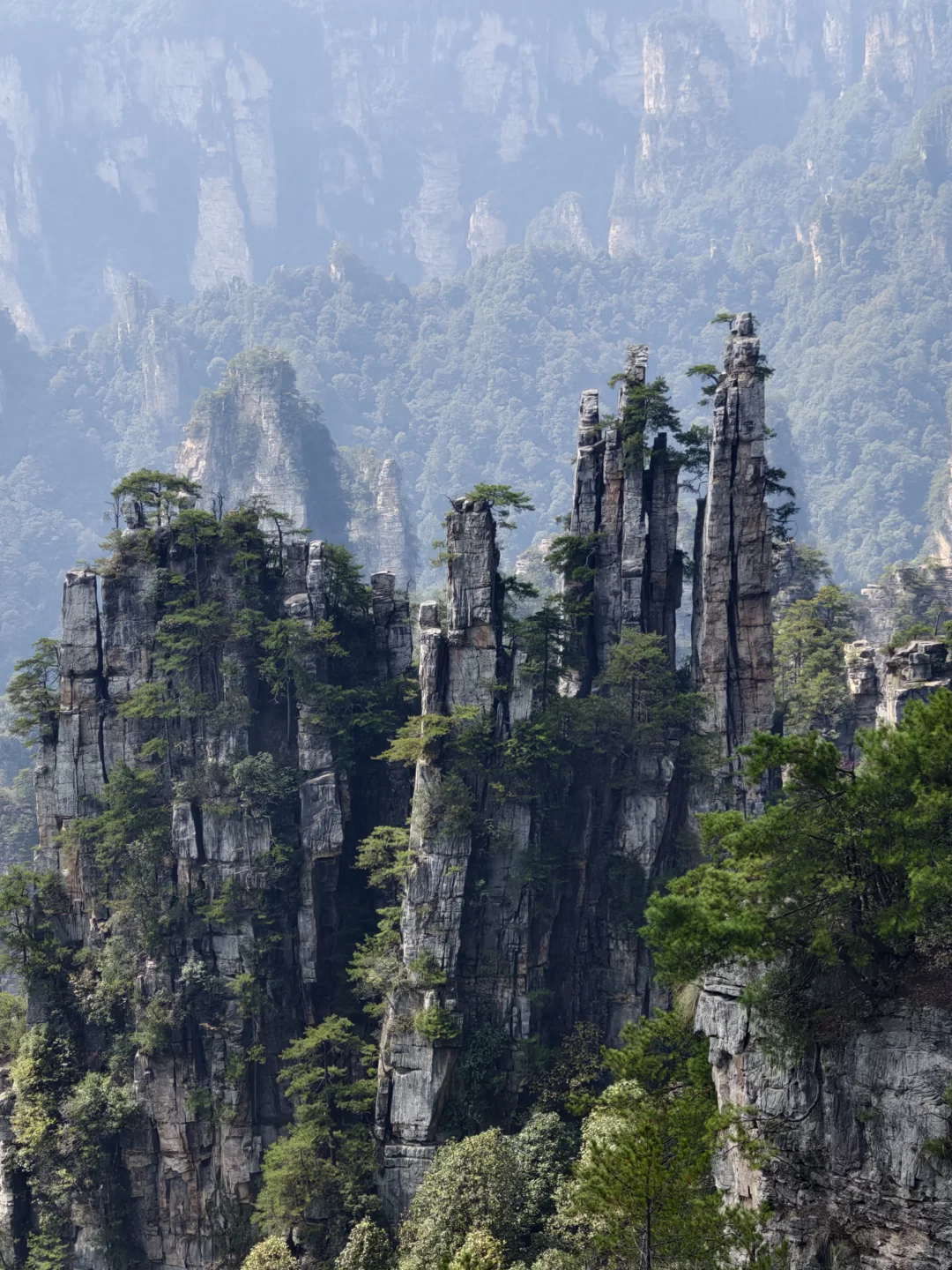 湖南张家界 凤凰古城 | 漫步