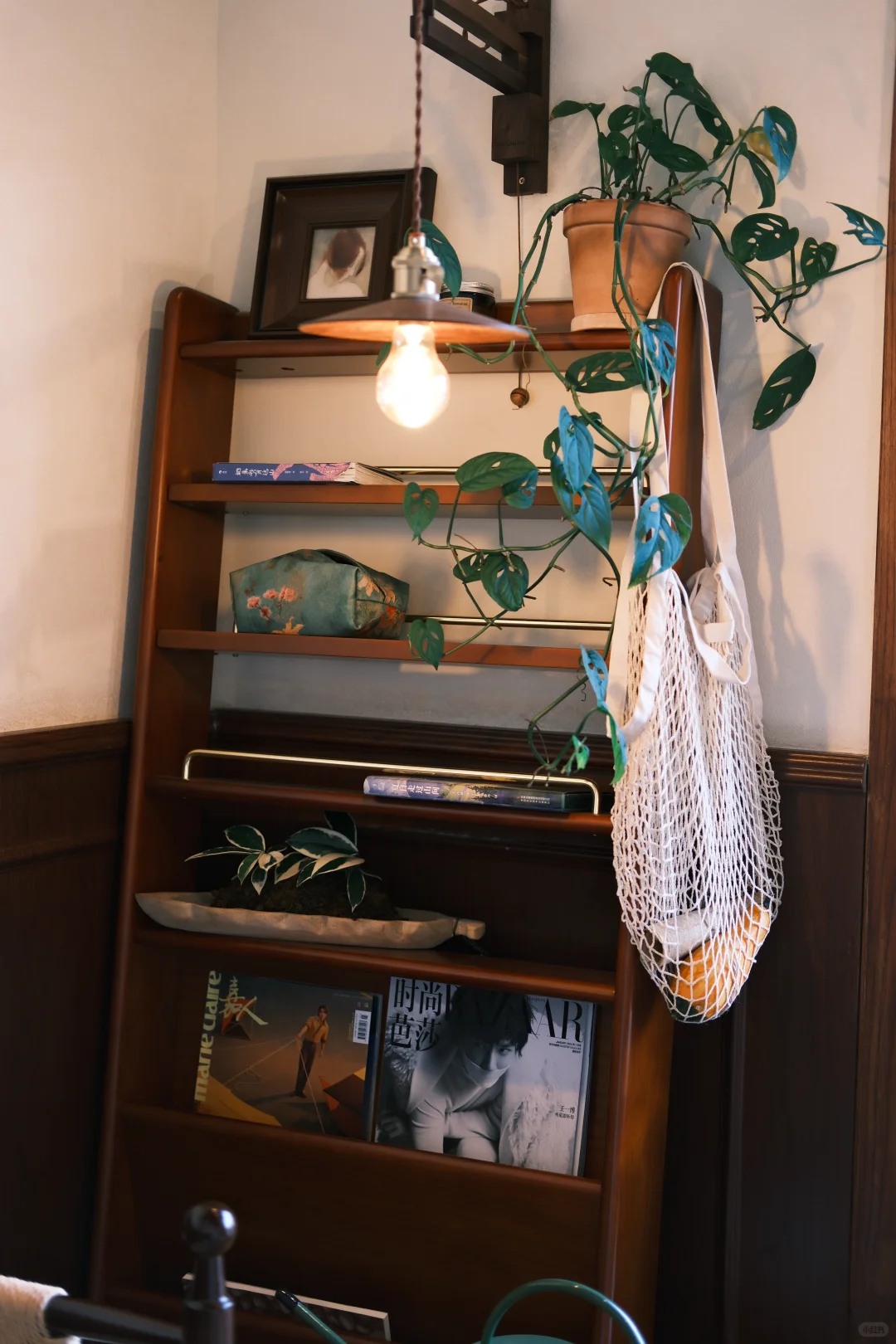 🎞📸张家界探店/1823coffee