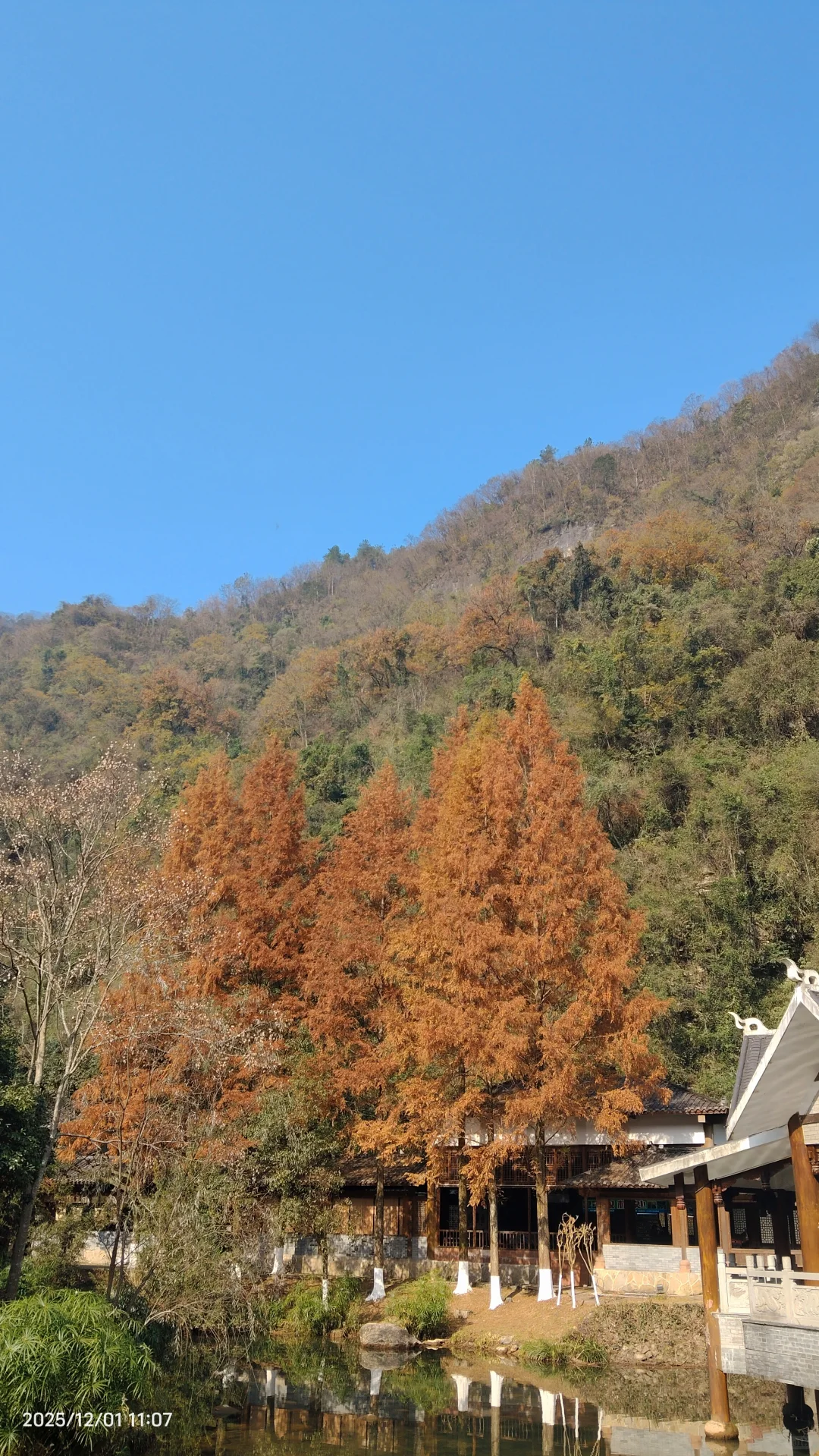 今日份张家界天气分享