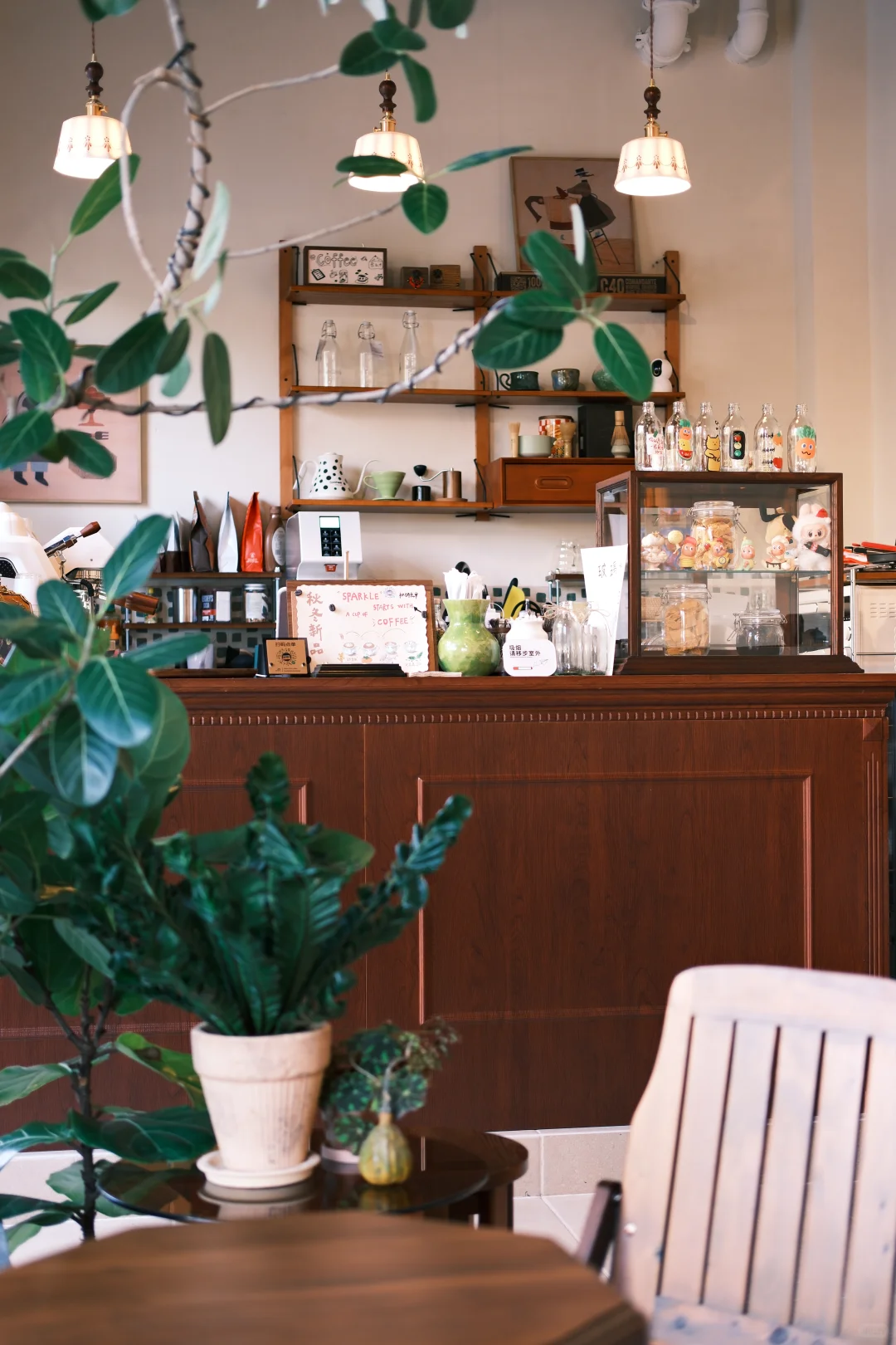 🎞📸张家界探店/1823coffee