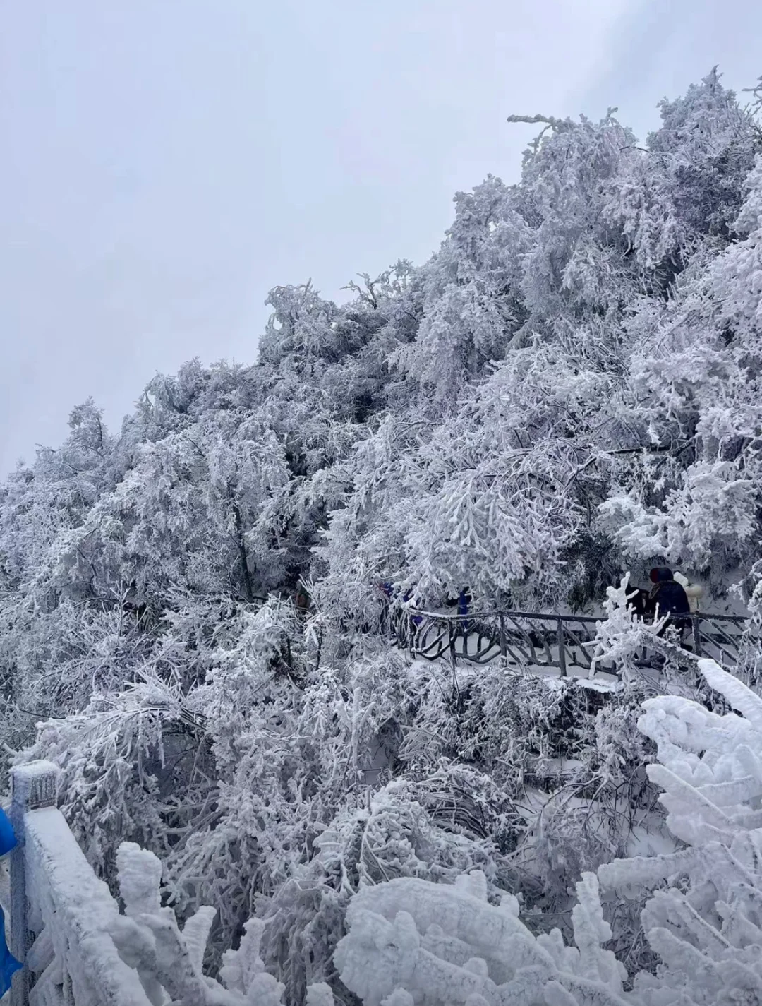 张家界天门山的雪❄️真的没法喷